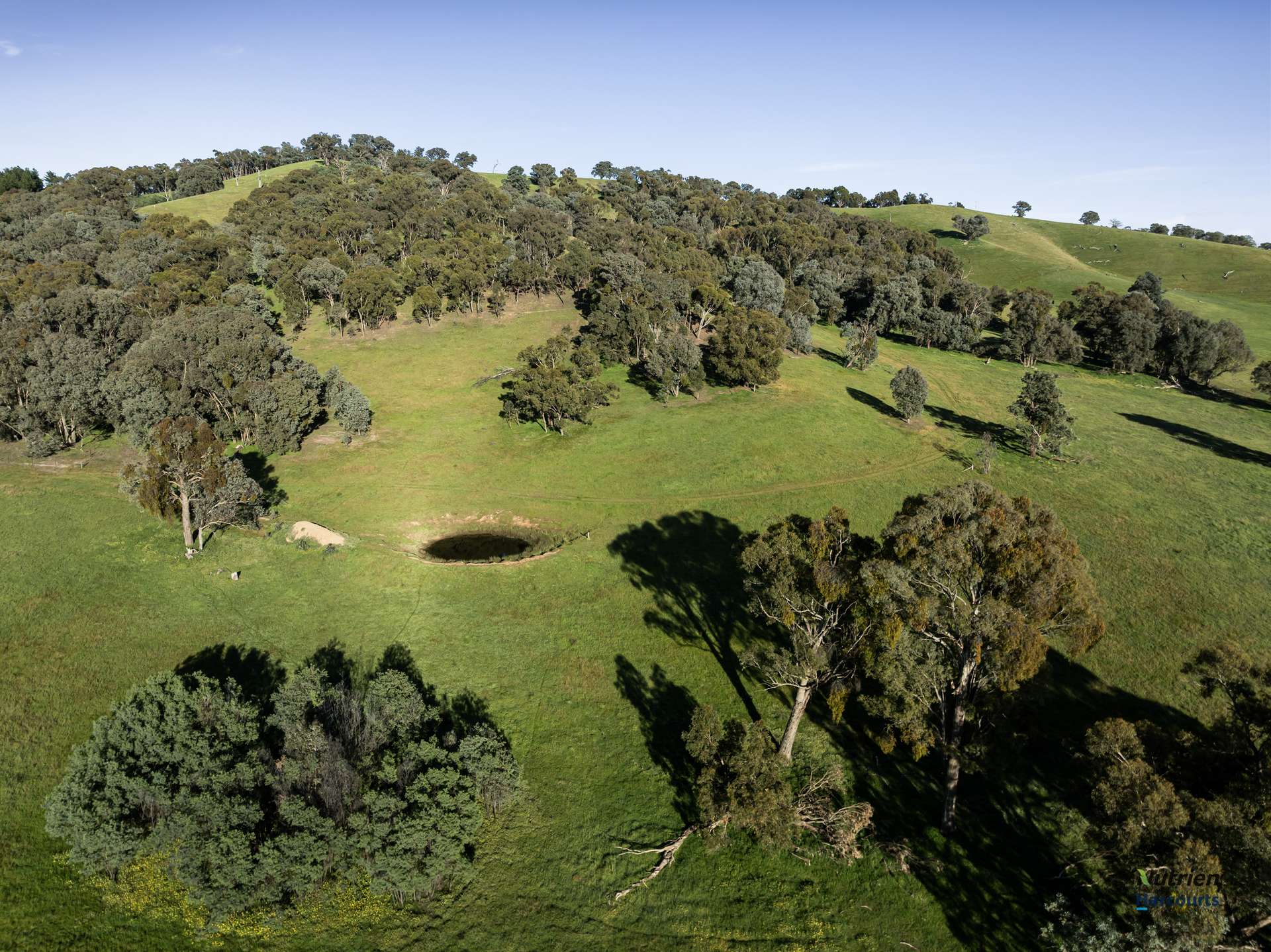 881 Upper Lurg Road, Upper Lurg For Sale by Farmbuy.com - image 3
