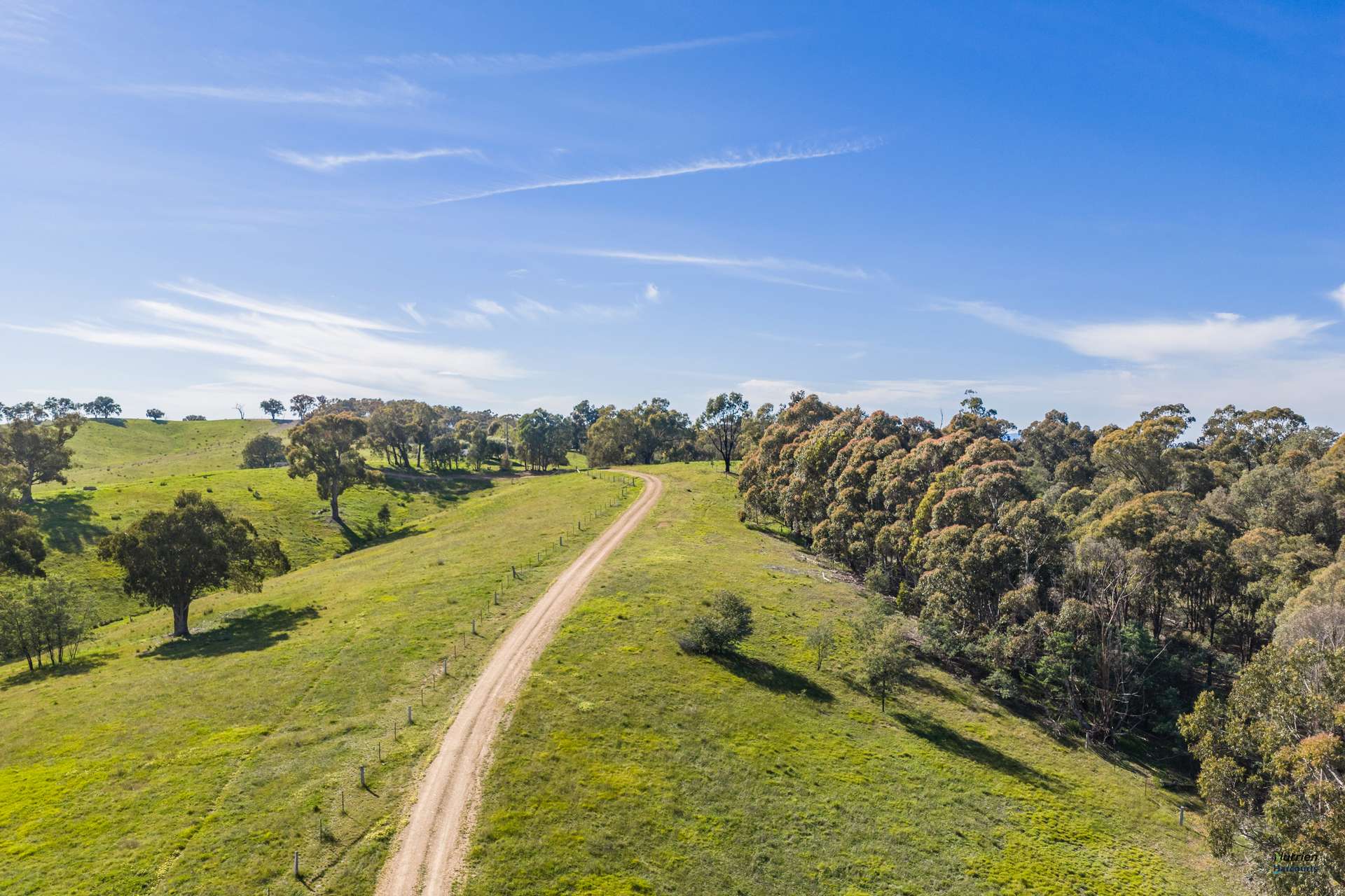 881 Upper Lurg Road, Upper Lurg For Sale by Farmbuy.com - image 11