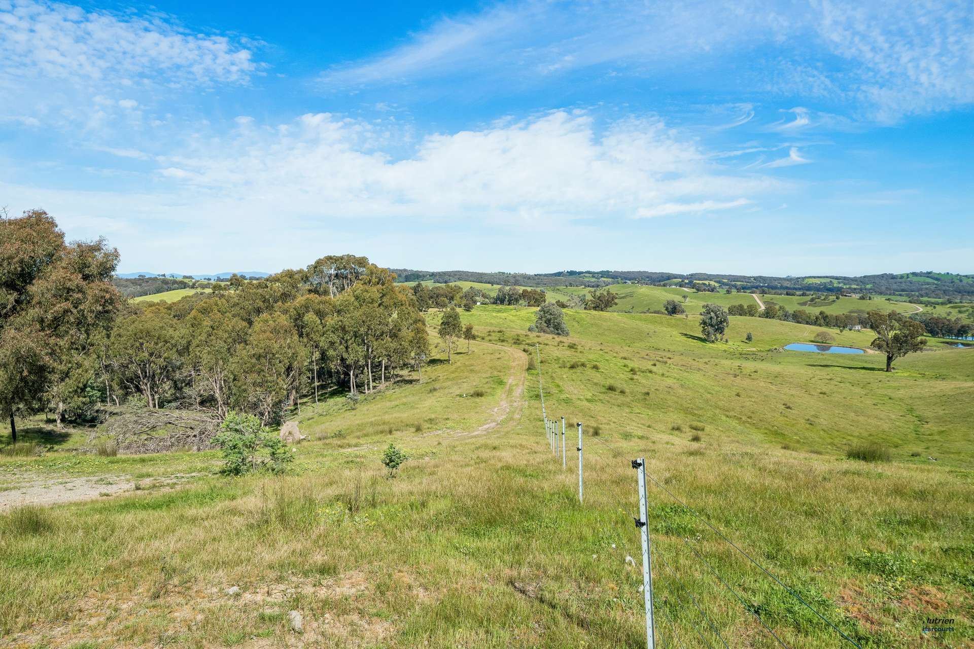 881 Upper Lurg Road, Upper Lurg For Sale by Farmbuy.com - image 16