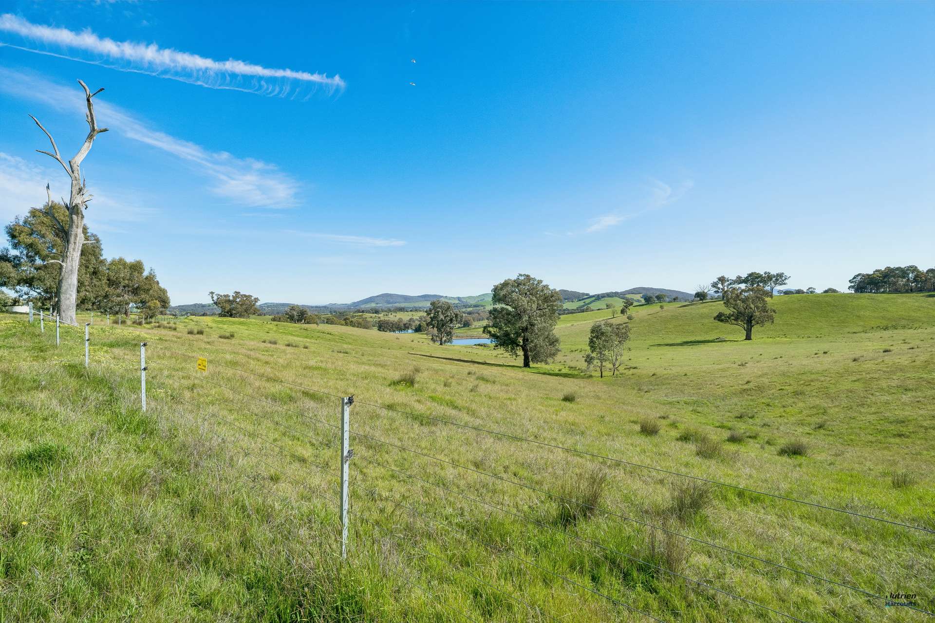 881 Upper Lurg Road, Upper Lurg For Sale by Farmbuy.com - image 17