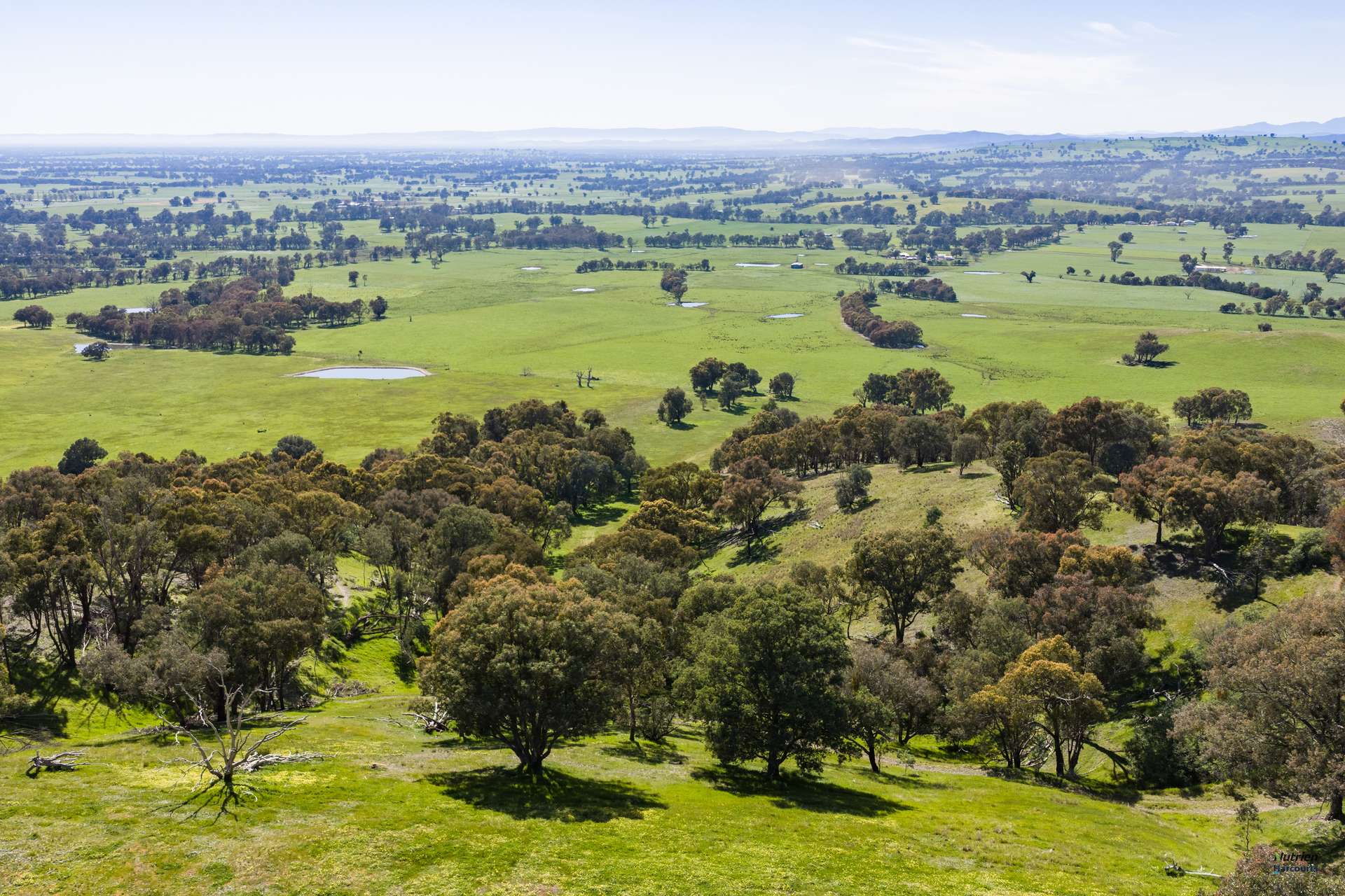 881 Upper Lurg Road, Upper Lurg For Sale by Farmbuy.com - image 20