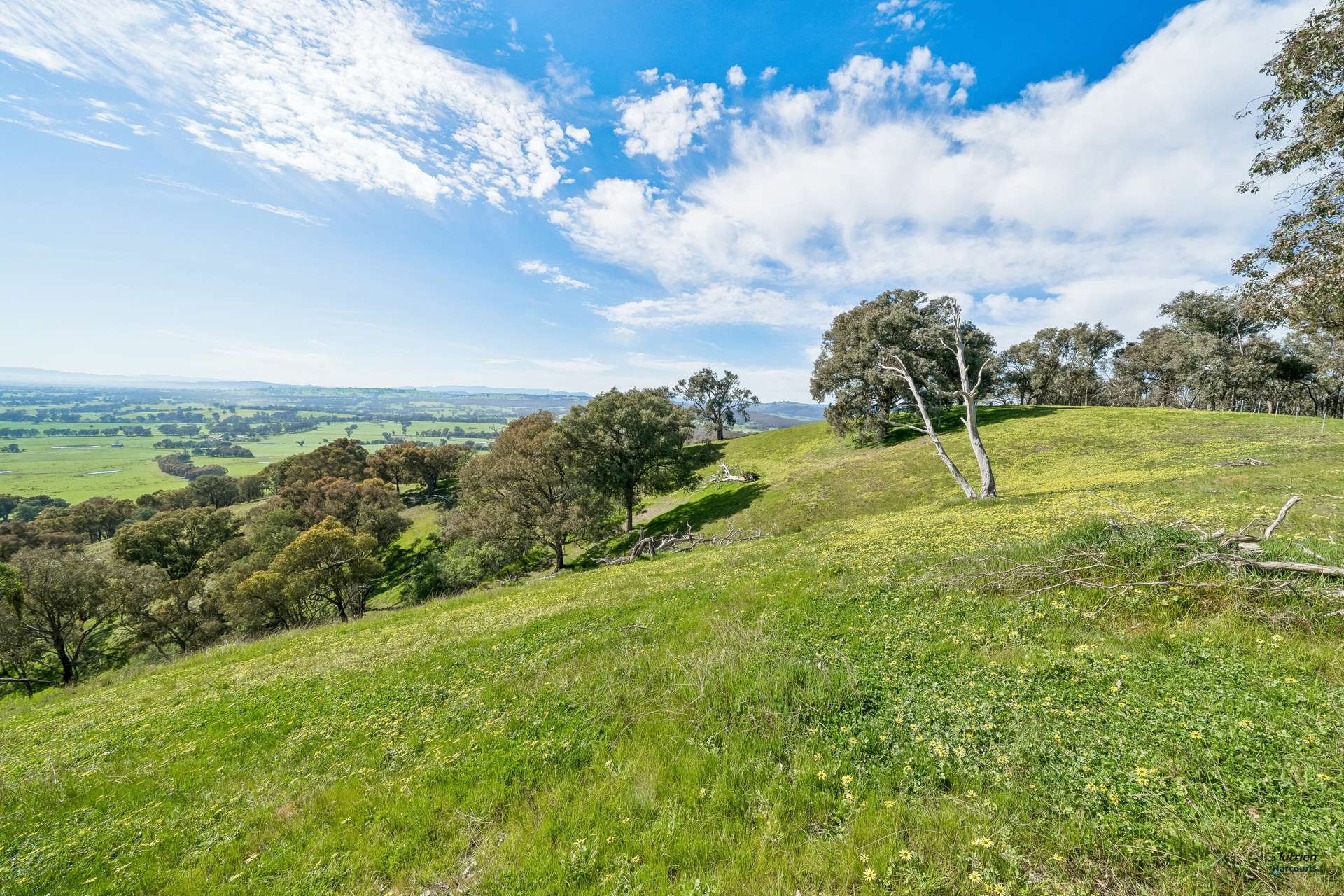 881 Upper Lurg Road, Upper Lurg For Sale by Farmbuy.com - image 6