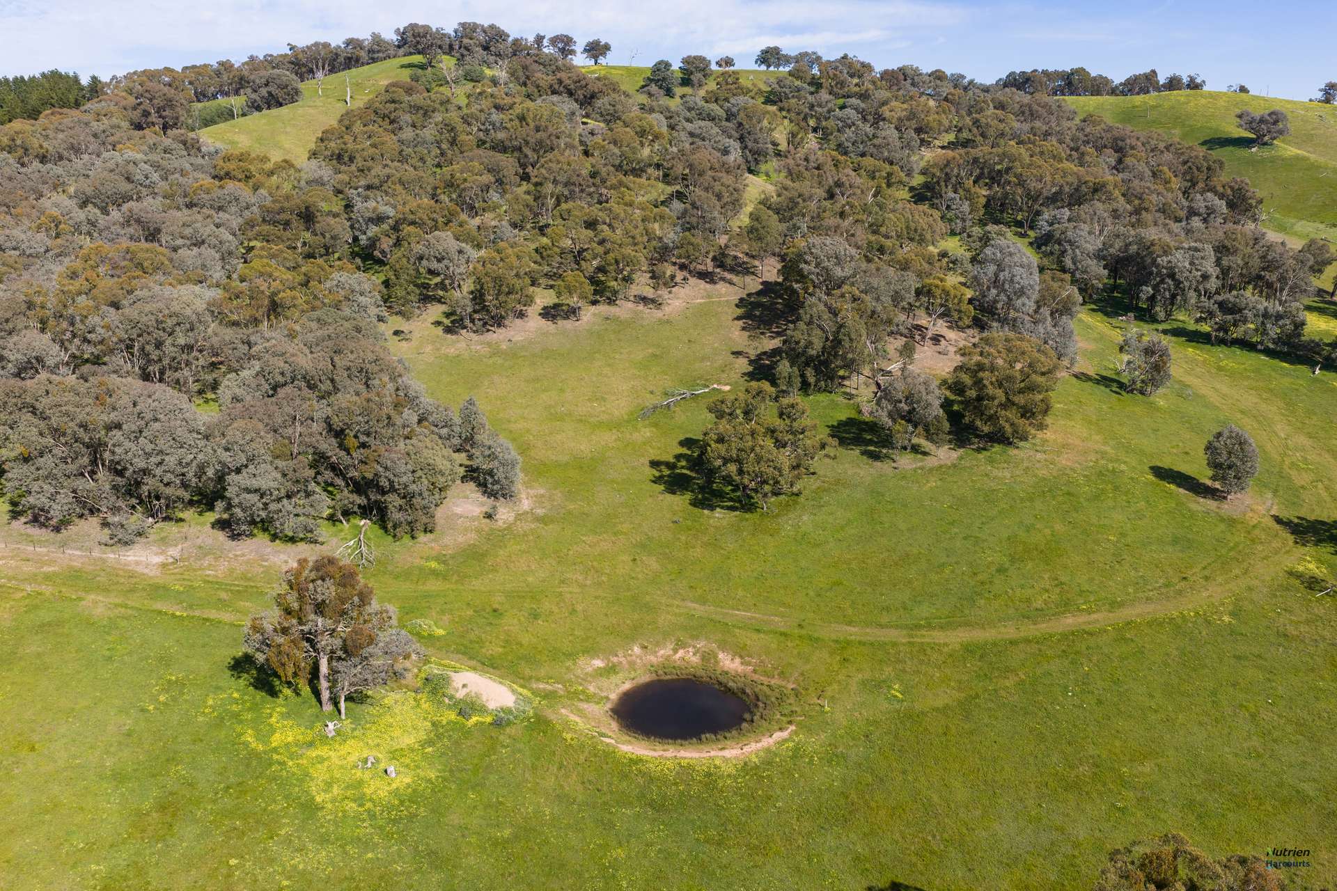 881 Upper Lurg Road, Upper Lurg For Sale by Farmbuy.com - image 21