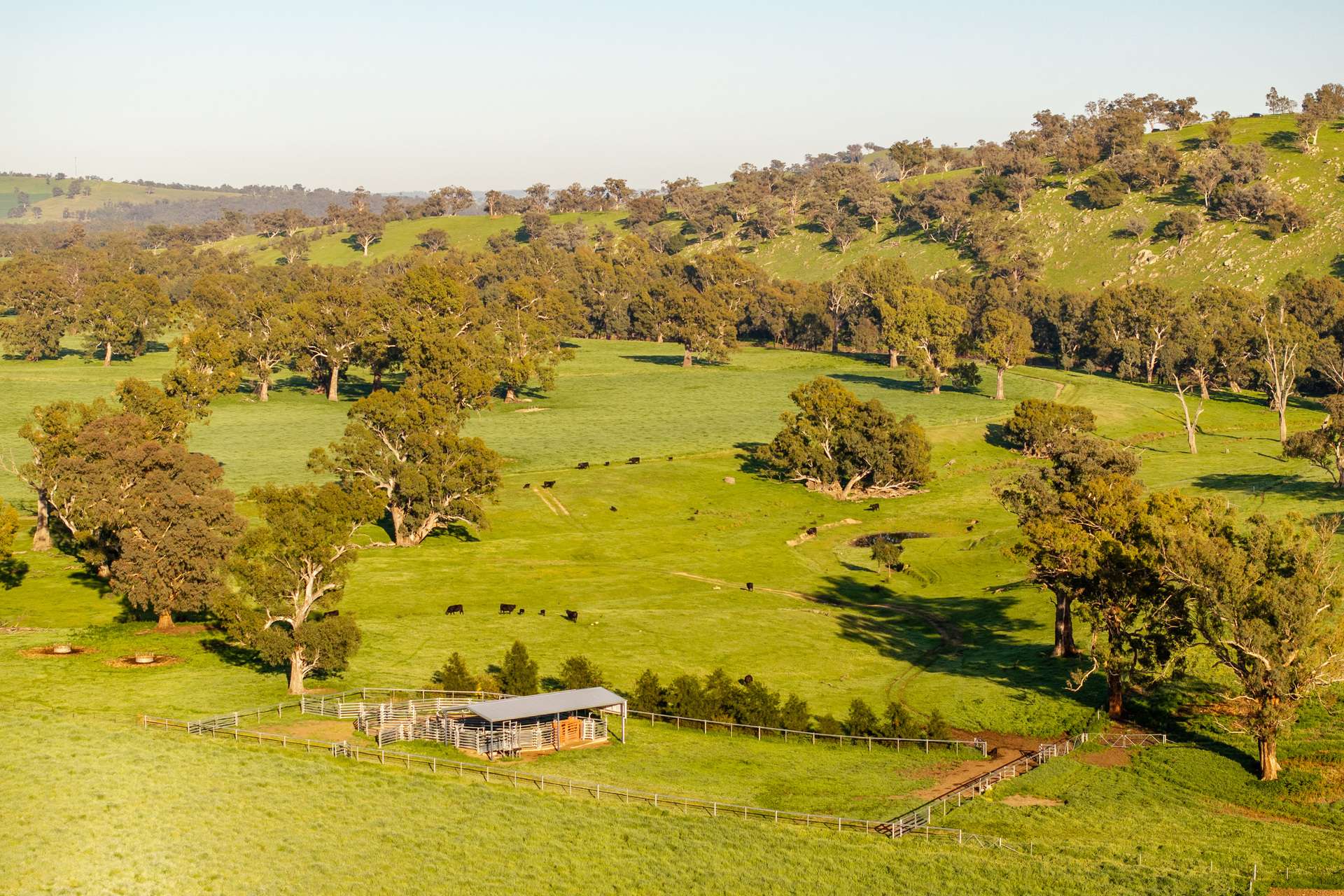 1834-1952 Oura Road, Oura For Sale by Farmbuy.com - image 18