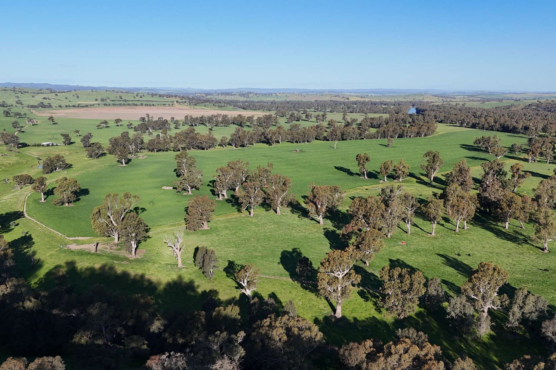 1834-1952 Oura Road, Oura For Sale by Farmbuy.com - image 4