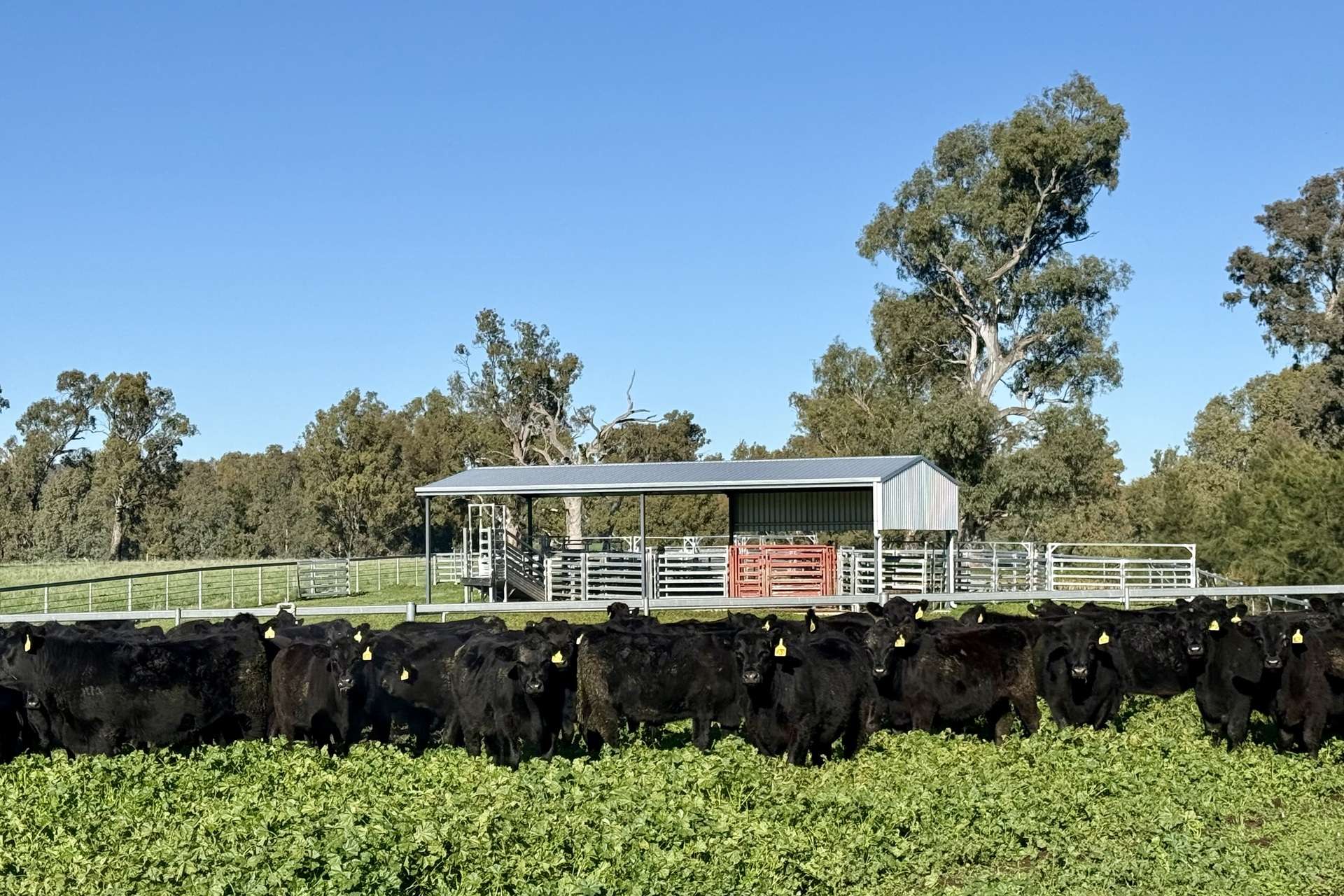 1834-1952 Oura Road, Oura For Sale by Farmbuy.com - image 8