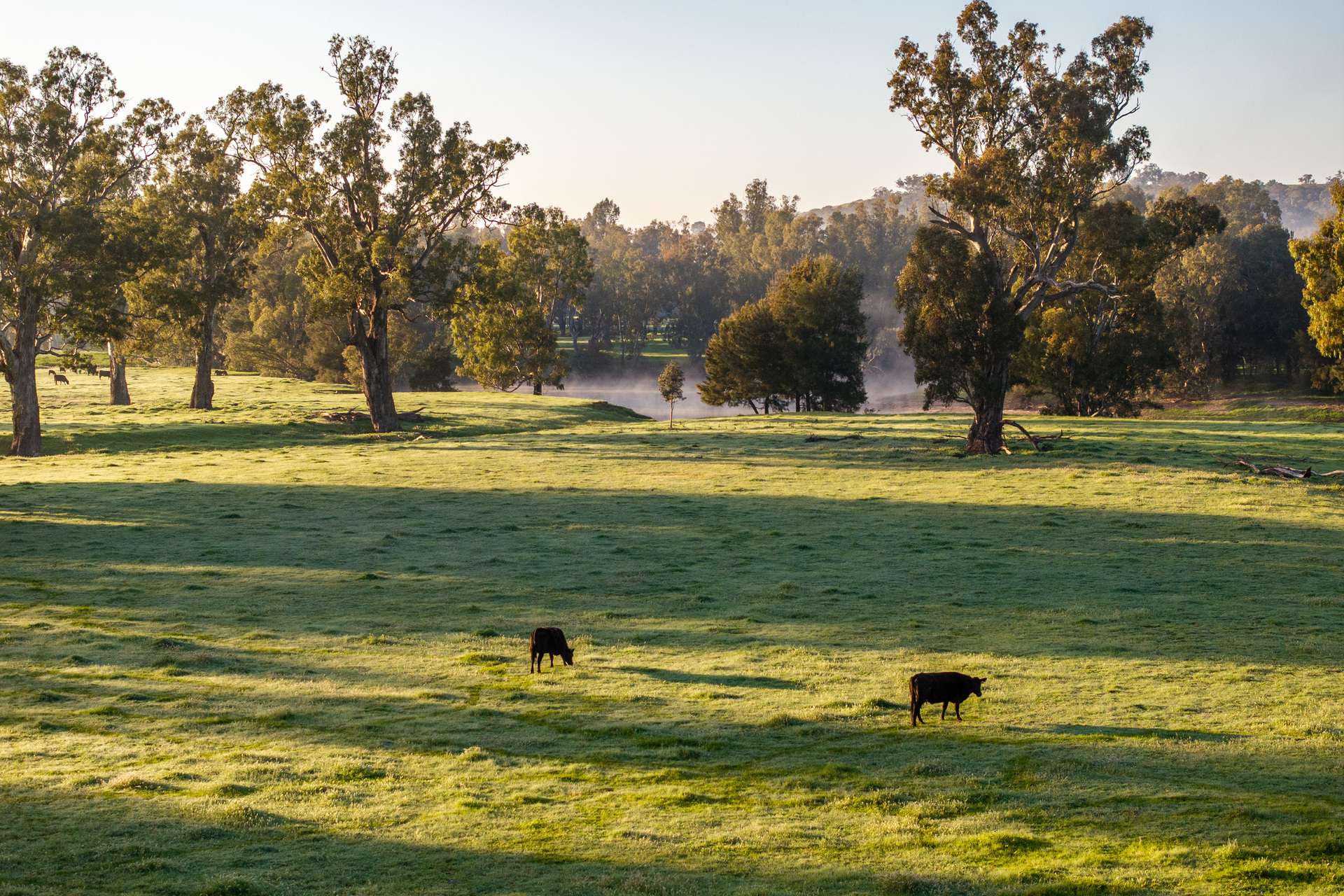 1834-1952 Oura Road, Oura For Sale by Farmbuy.com - image 14