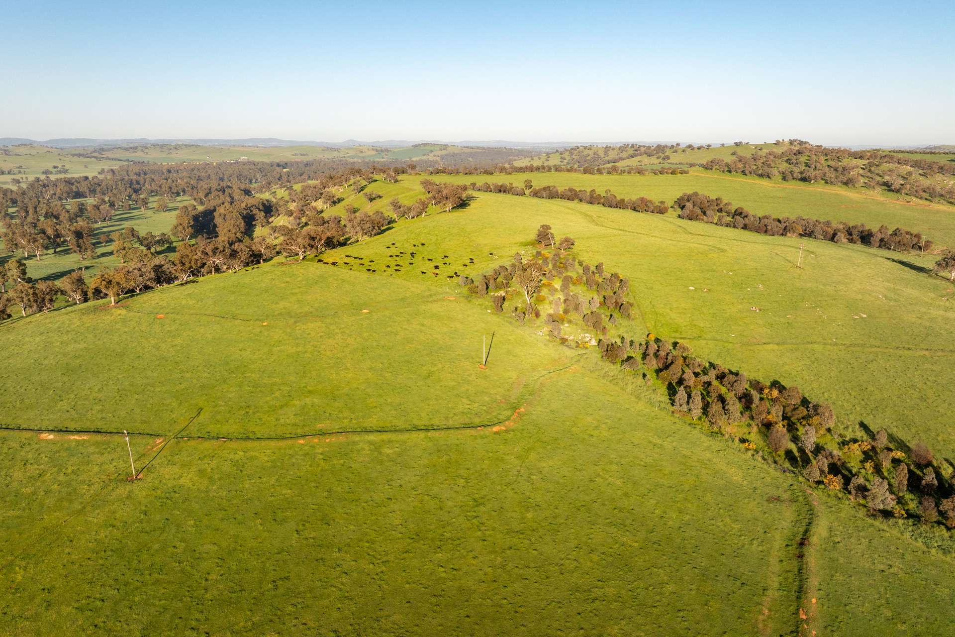 1834-1952 Oura Road, Oura For Sale by Farmbuy.com - image 15