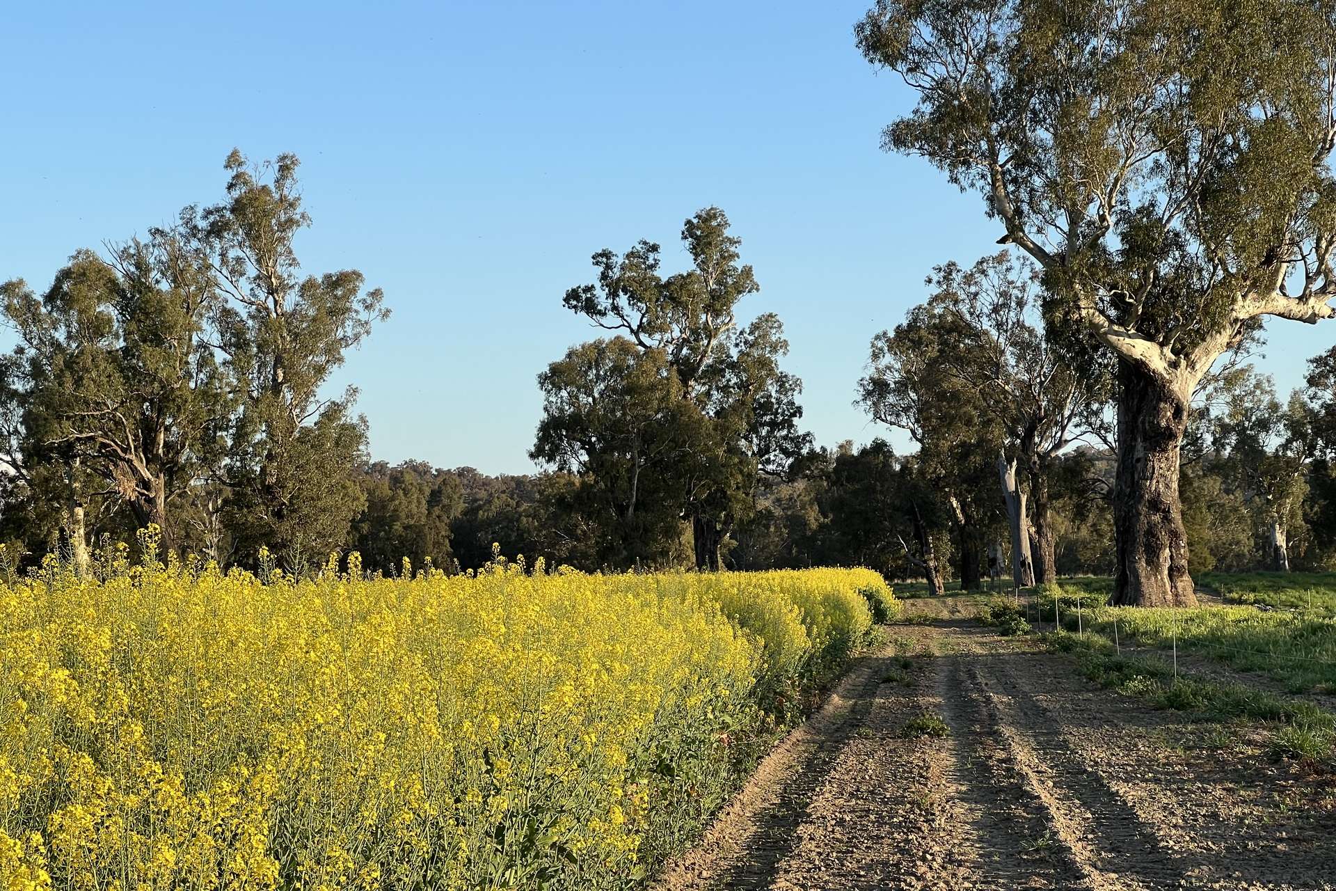1834-1952 Oura Road, Oura For Sale by Farmbuy.com - image 23