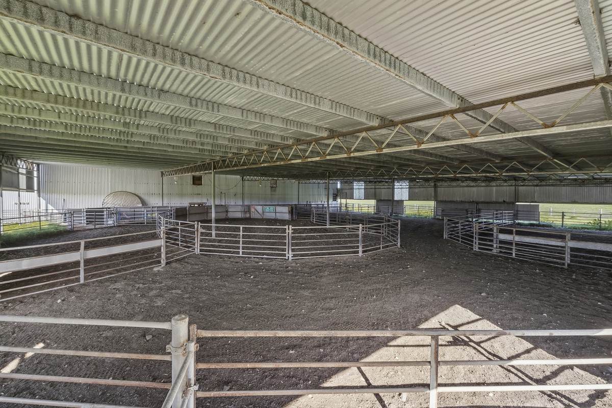 Yaruck Road, Port Campbell For Sale by Farmbuy.com - image 11