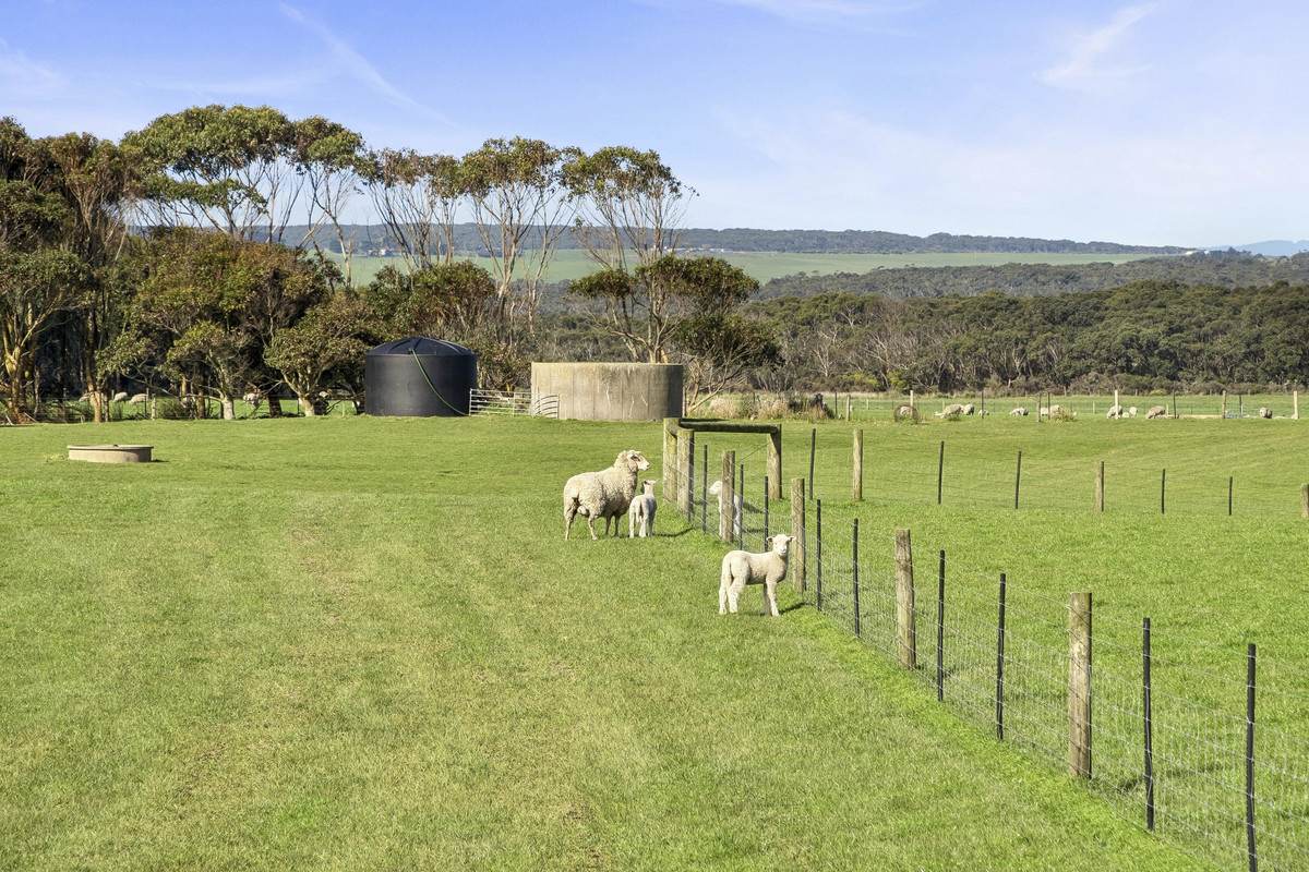 Yaruck Road, Port Campbell For Sale by Farmbuy.com - image 22