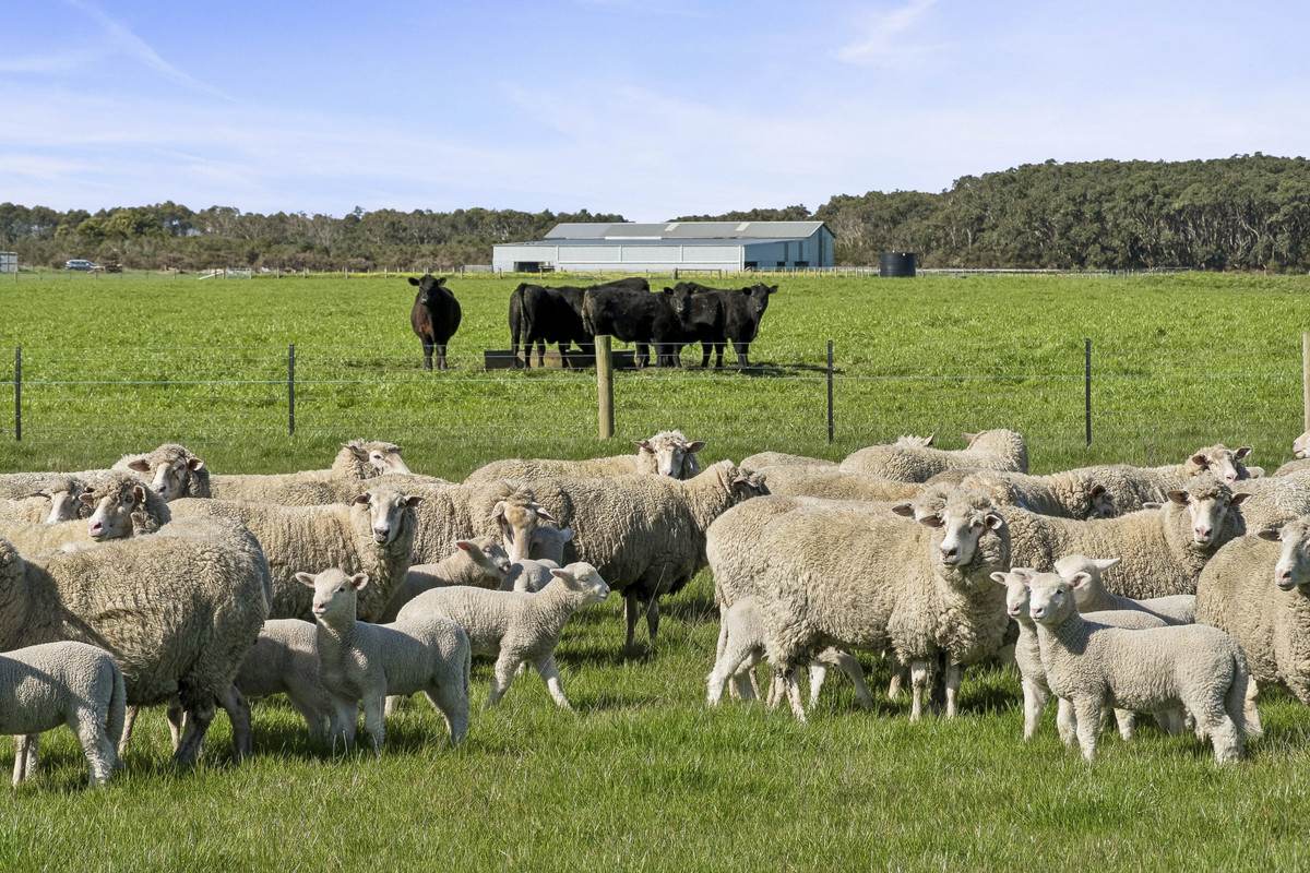 Yaruck Road, Port Campbell For Sale by Farmbuy.com - image 15