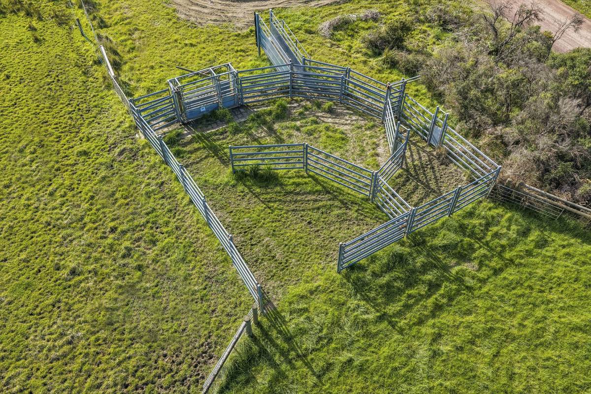 Yaruck Road, Port Campbell For Sale by Farmbuy.com - image 24