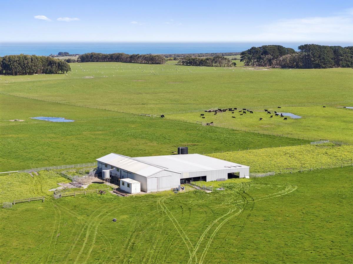 Yaruck Road, Port Campbell For Sale by Farmbuy.com - image 8