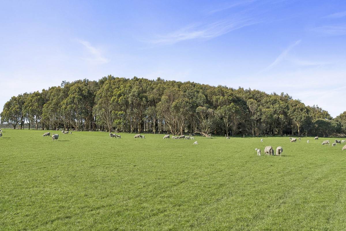Yaruck Road, Port Campbell For Sale by Farmbuy.com - image 28
