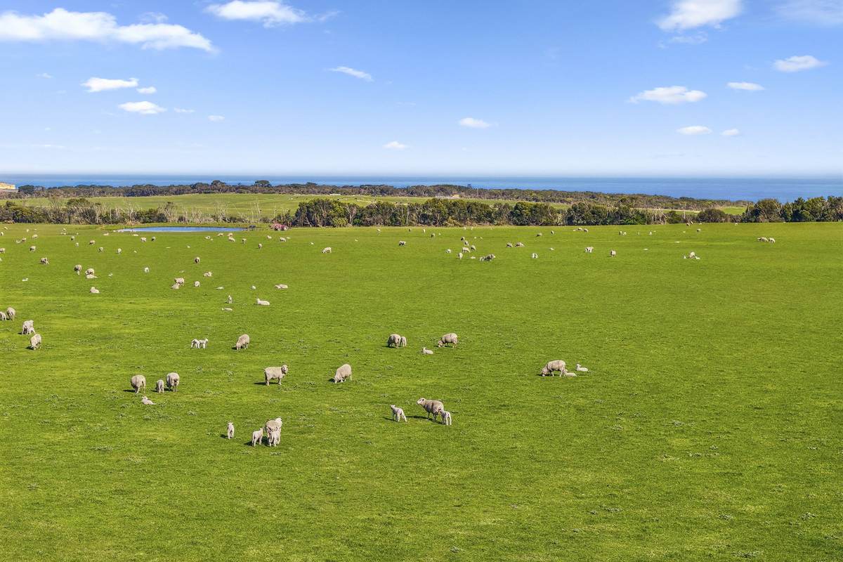 Yaruck Road, Port Campbell For Sale by Farmbuy.com - image 29