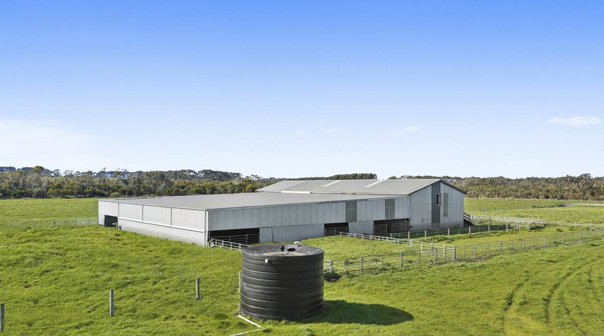 Yaruck Road, Port Campbell For Sale by Farmbuy.com - image 10