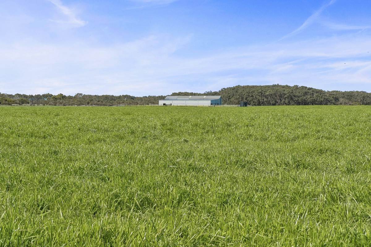 Yaruck Road, Port Campbell For Sale by Farmbuy.com - image 7