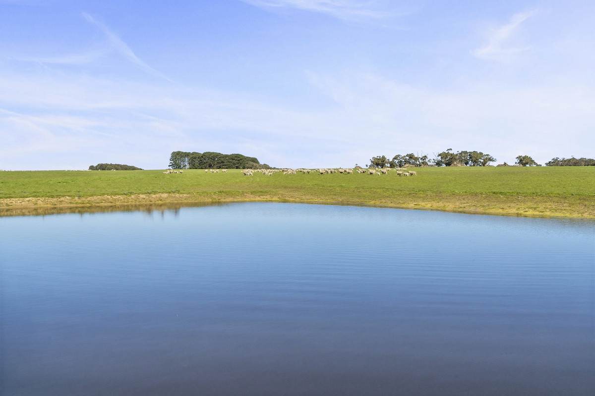 Yaruck Road, Port Campbell For Sale by Farmbuy.com - image 16