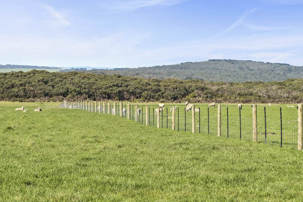 Yaruck Road, Port Campbell For Sale by Farmbuy.com - image 17