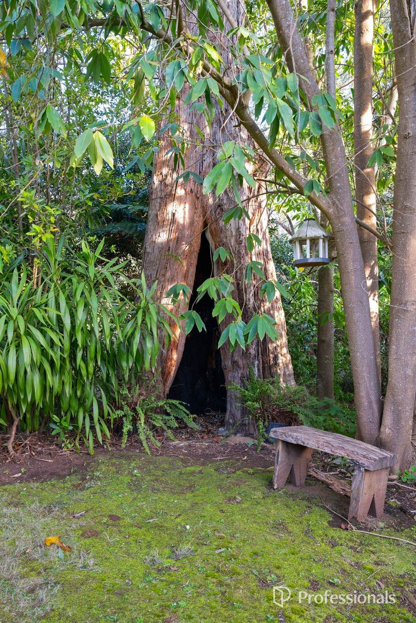 35 Tulloch Street, Millgrove For Sale by Farmbuy.com - image 23