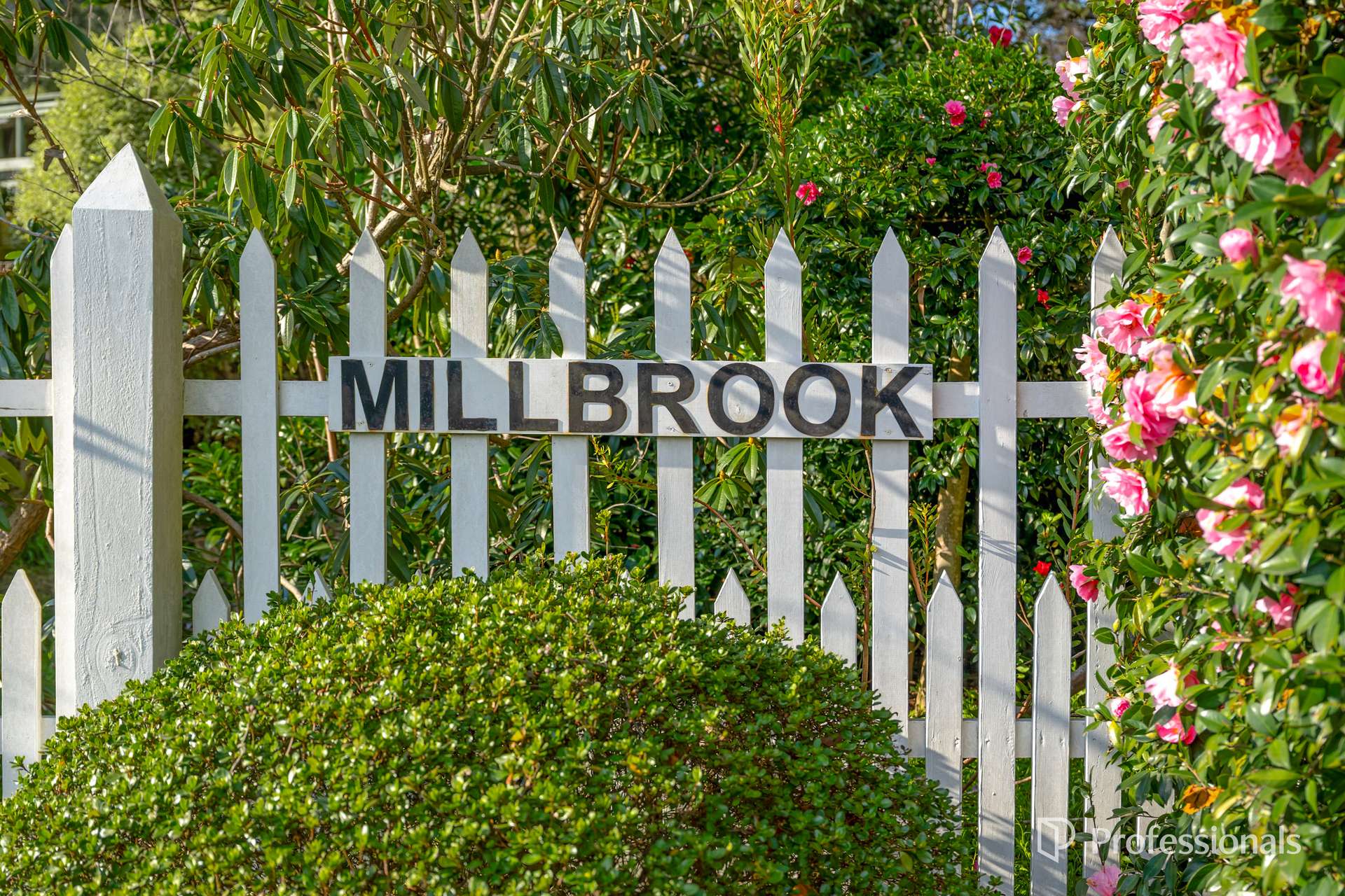 35 Tulloch Street, Millgrove For Sale by Farmbuy.com - image 5