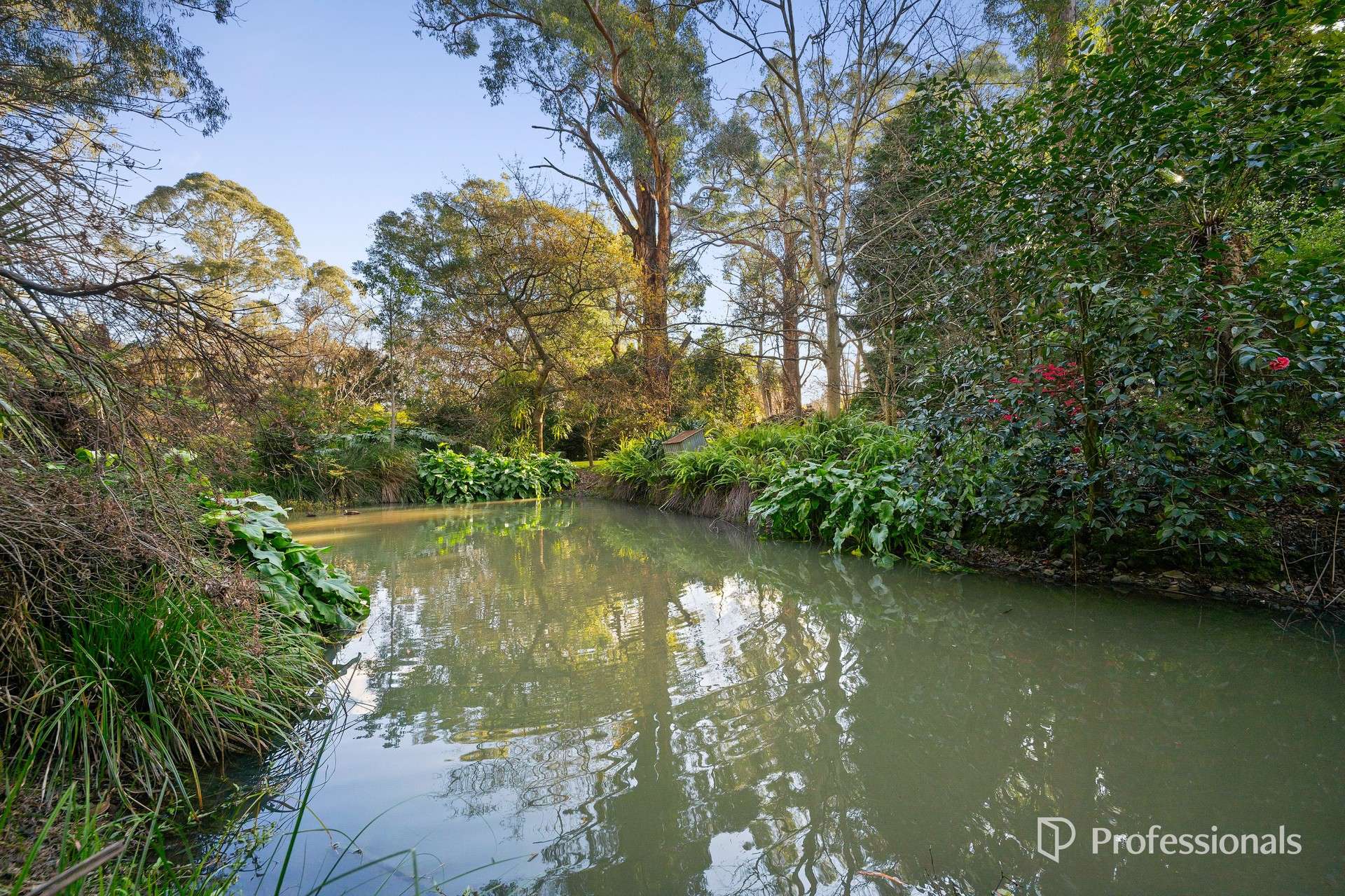 35 Tulloch Street, Millgrove For Sale by Farmbuy.com - image 13