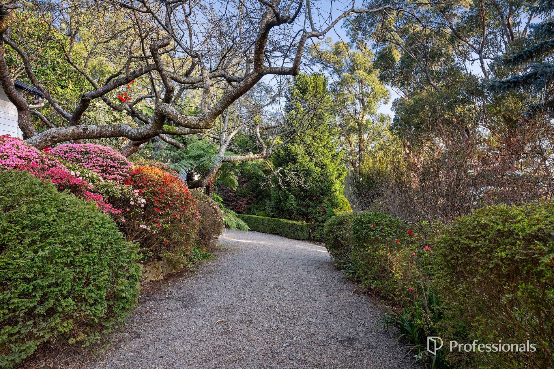 35 Tulloch Street, Millgrove For Sale by Farmbuy.com - image 19