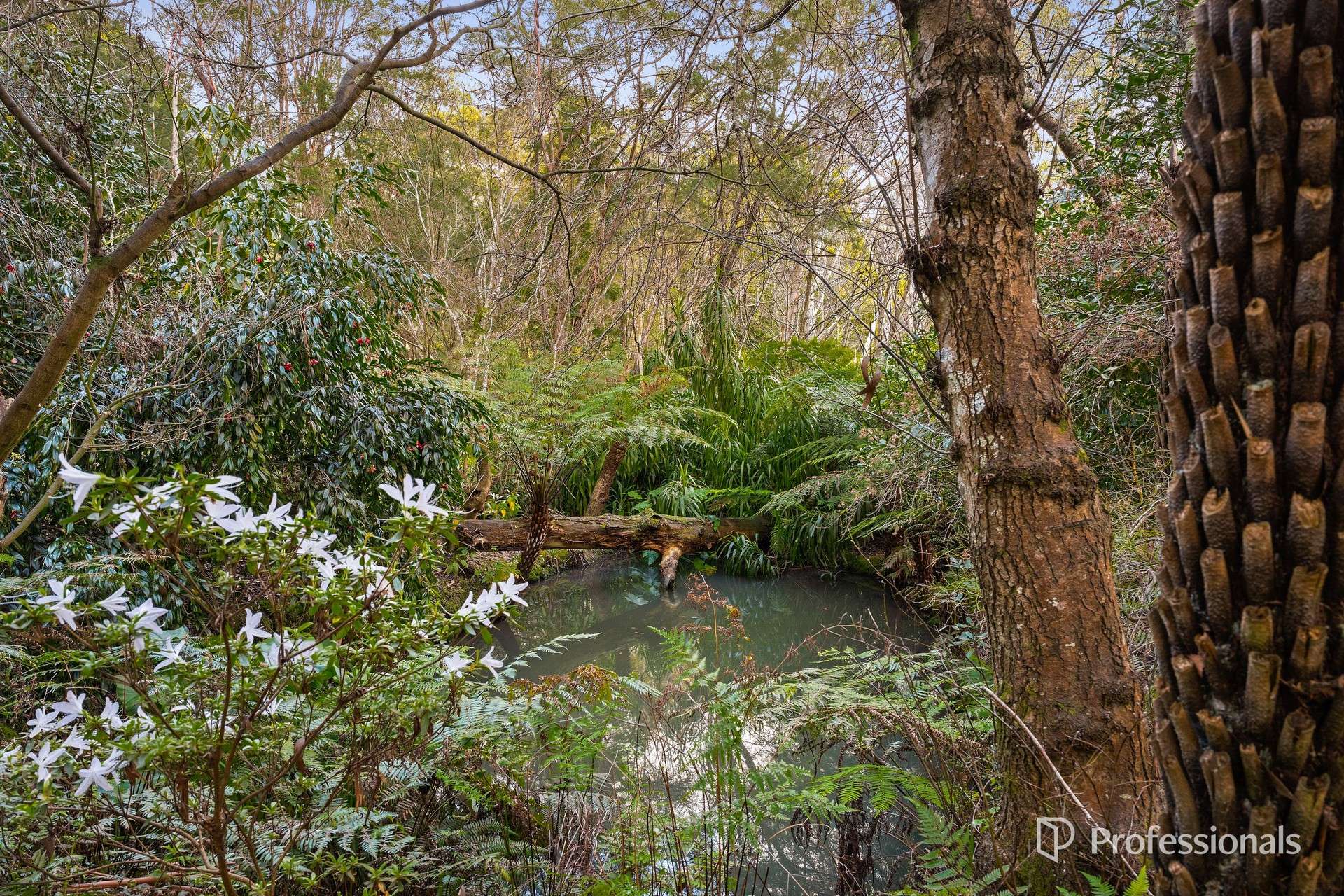 35 Tulloch Street, Millgrove For Sale by Farmbuy.com - image 14