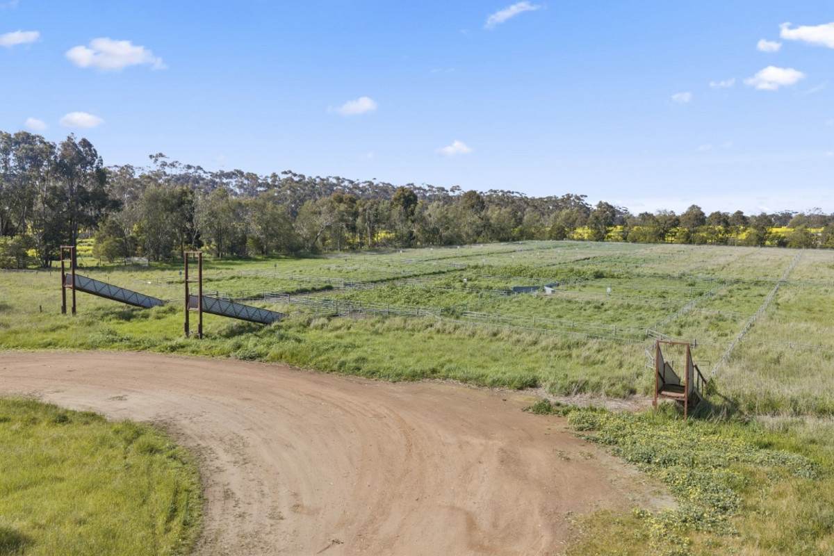 Wingeel Road, Wingeel For Sale by Farmbuy.com - image 7