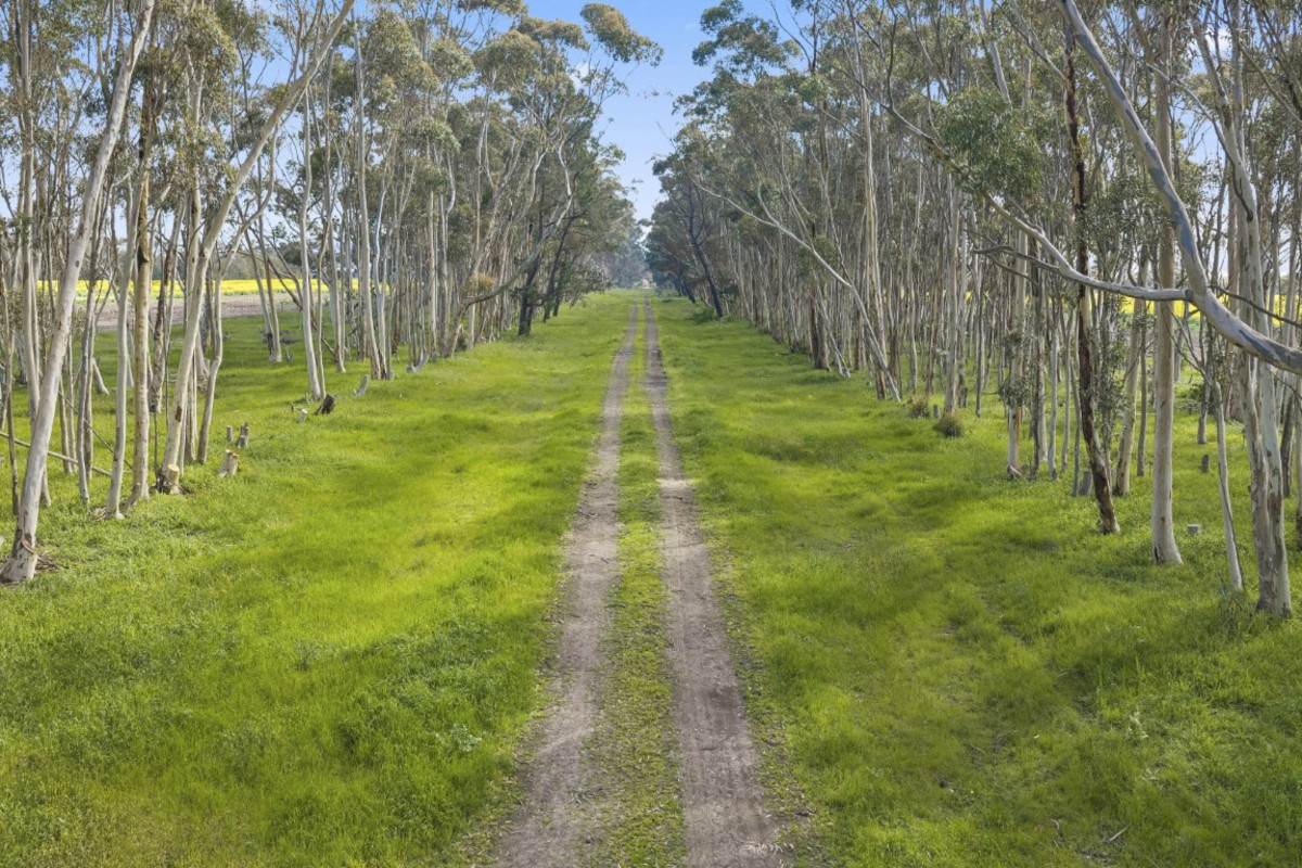 Wingeel Road, Wingeel For Sale by Farmbuy.com - image 18