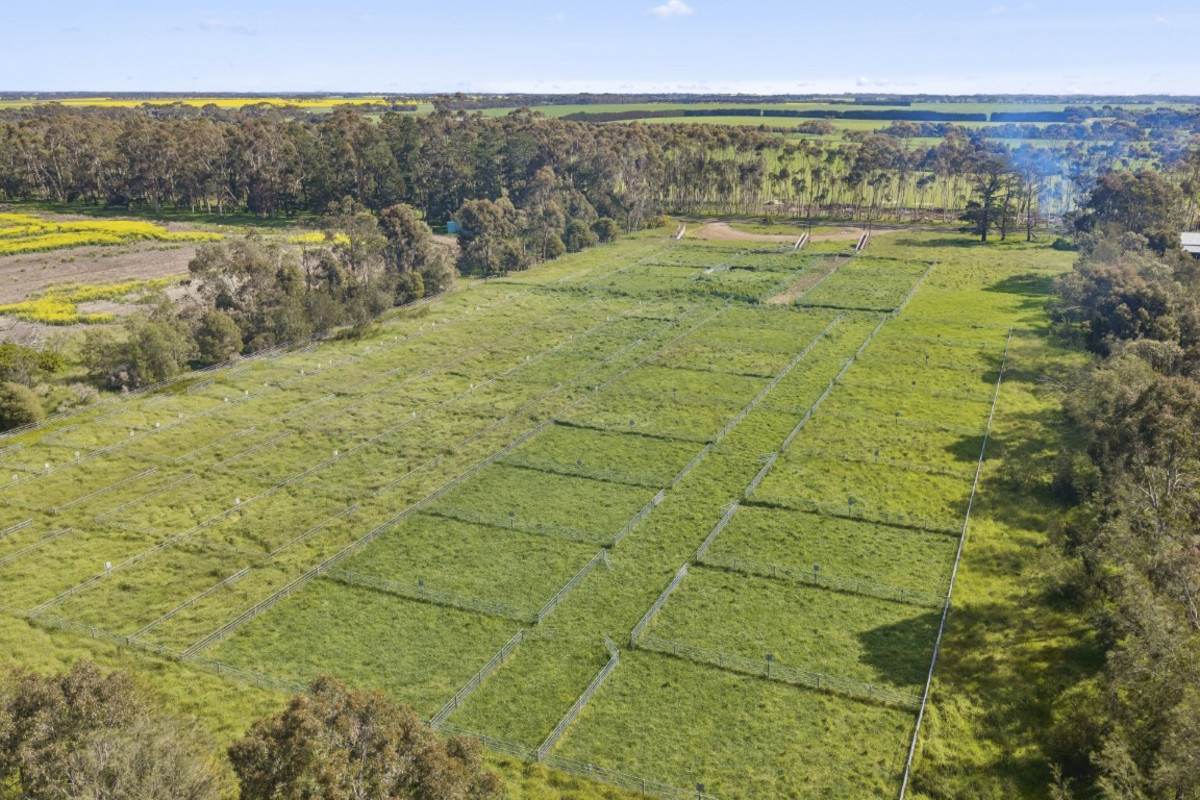 Wingeel Road, Wingeel For Sale by Farmbuy.com - image 8