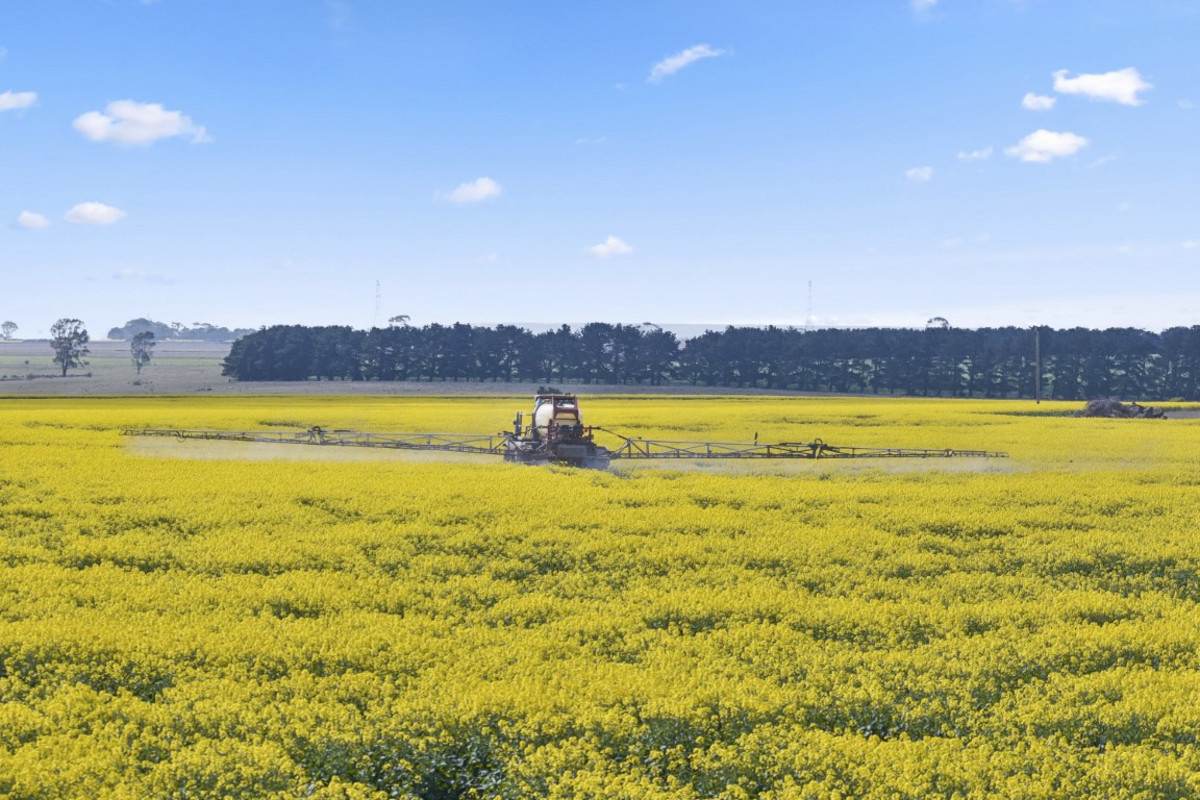 Wingeel Road, Wingeel For Sale by Farmbuy.com - image 2