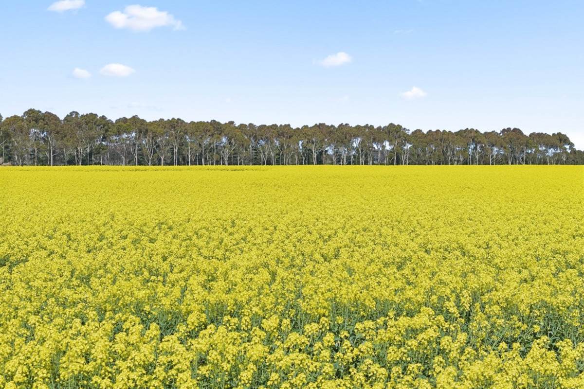 Wingeel Road, Wingeel For Sale by Farmbuy.com - image 13