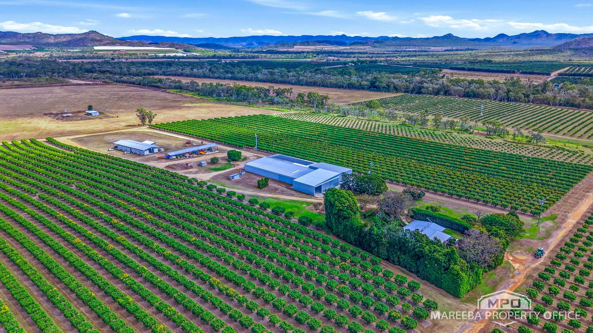 66027 & 66029 Burke Developmental Road & 302 Wolfram Road, Dimbulah For Sale by Farmbuy.com - image 4