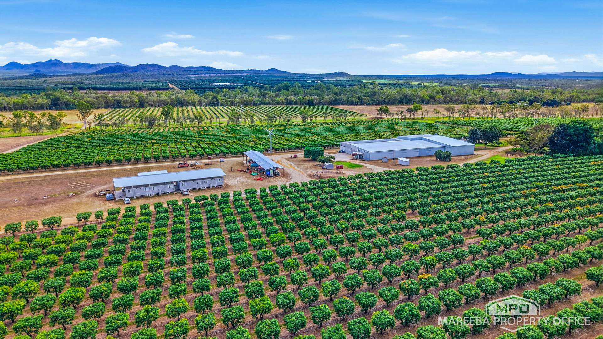 66027 & 66029 Burke Developmental Road & 302 Wolfram Road, Dimbulah For Sale by Farmbuy.com - image 5