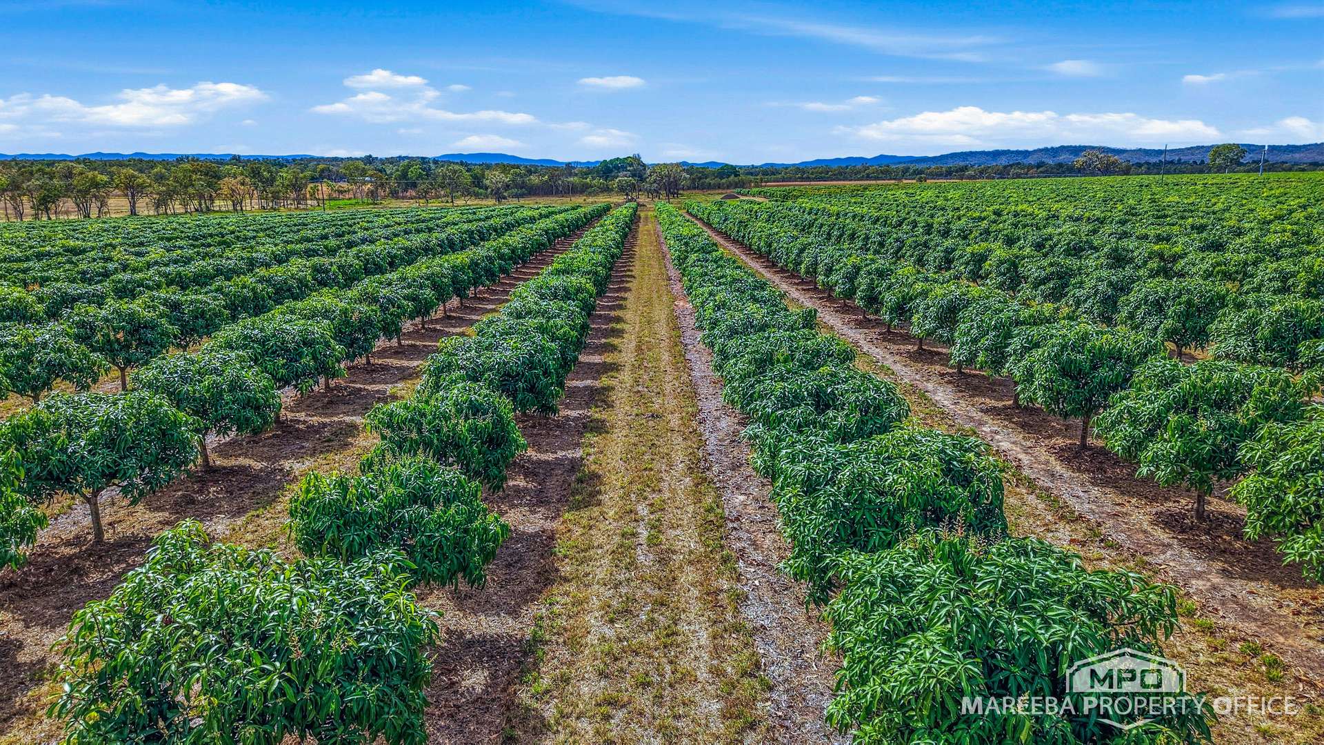 66027 & 66029 Burke Developmental Road & 302 Wolfram Road, Dimbulah For Sale by Farmbuy.com - image 22