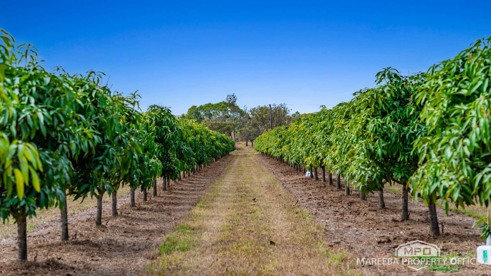 66027 & 66029 Burke Developmental Road & 302 Wolfram Road, Dimbulah For Sale by Farmbuy.com - image 35