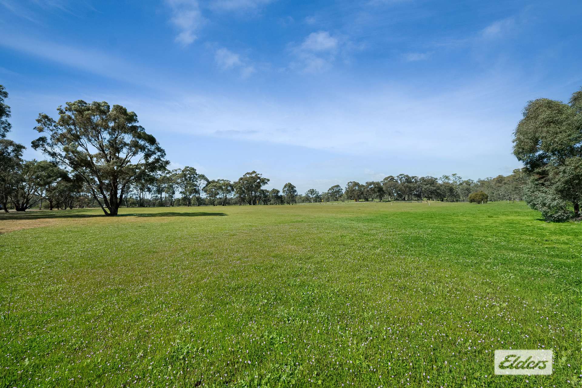 Cnr Hodges Lane & Potter Lane, Longlea For Sale by Farmbuy.com - image 1