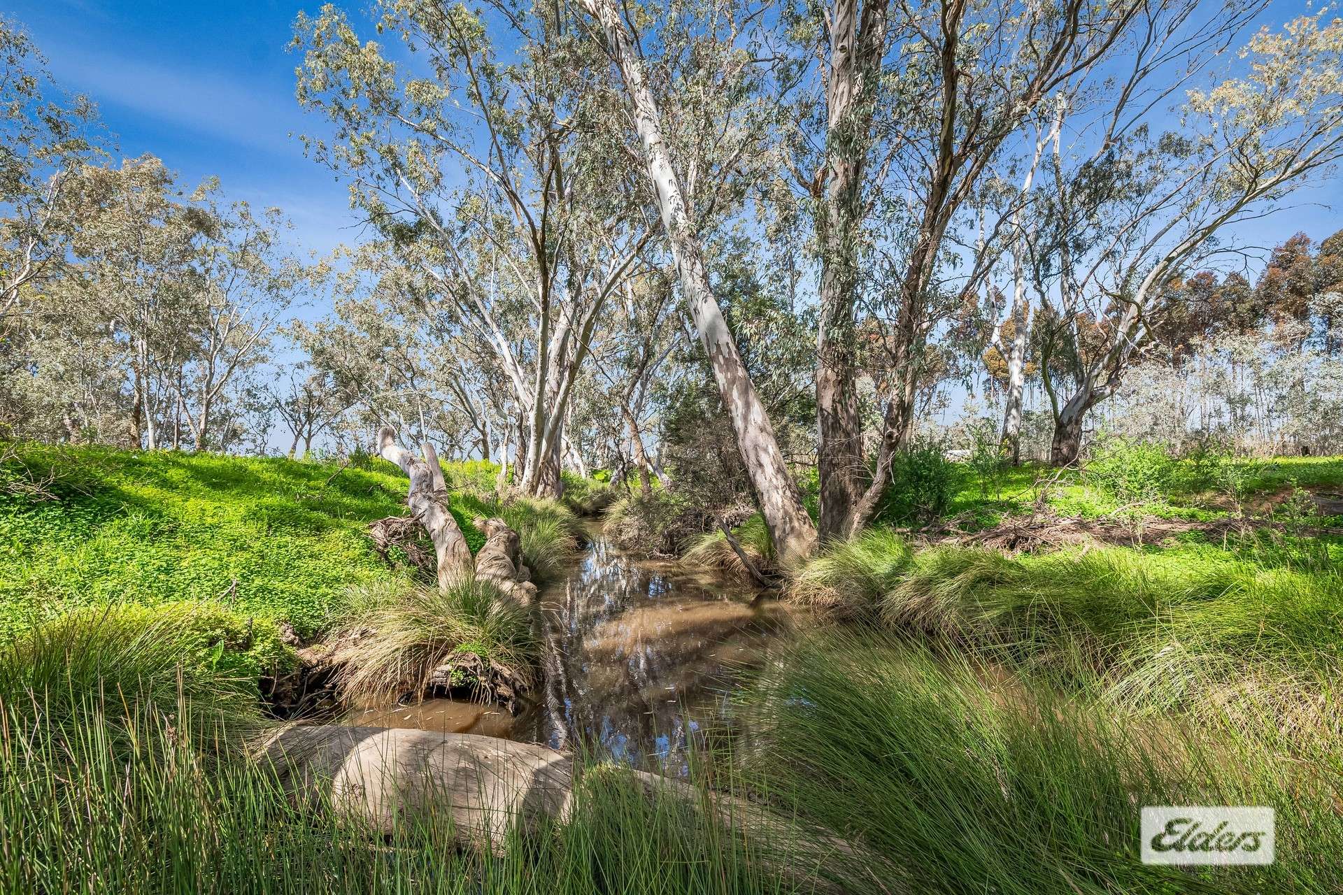 Cnr Hodges Lane & Potter Lane, Longlea For Sale by Farmbuy.com - image 4