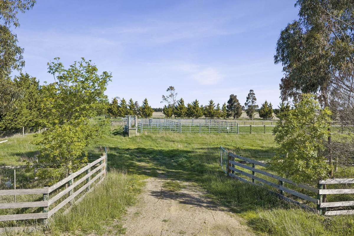 Lower Plains Road, Lethbridge For Sale by Farmbuy.com - image 2
