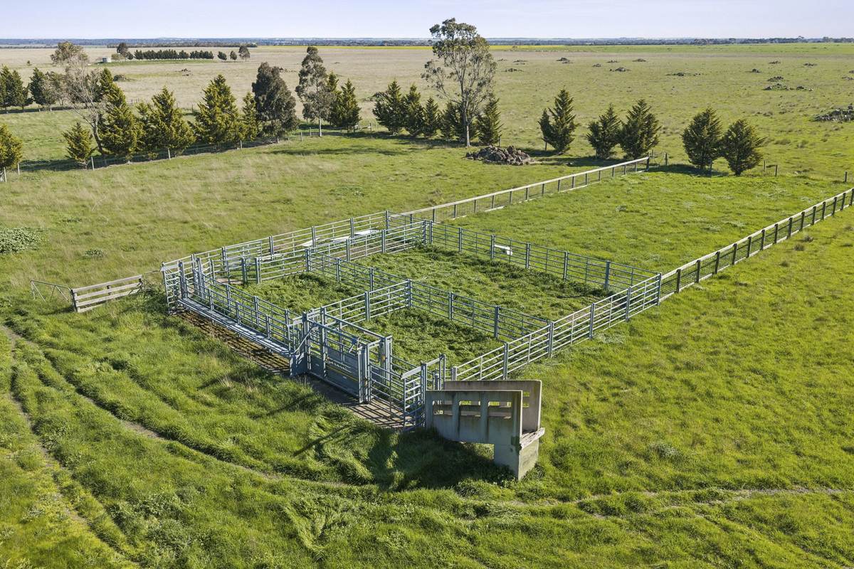 Lower Plains Road, Lethbridge For Sale by Farmbuy.com - image 3