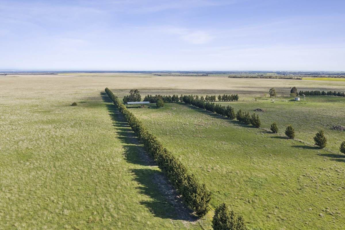 Lower Plains Road, Lethbridge For Sale by Farmbuy.com - image 6