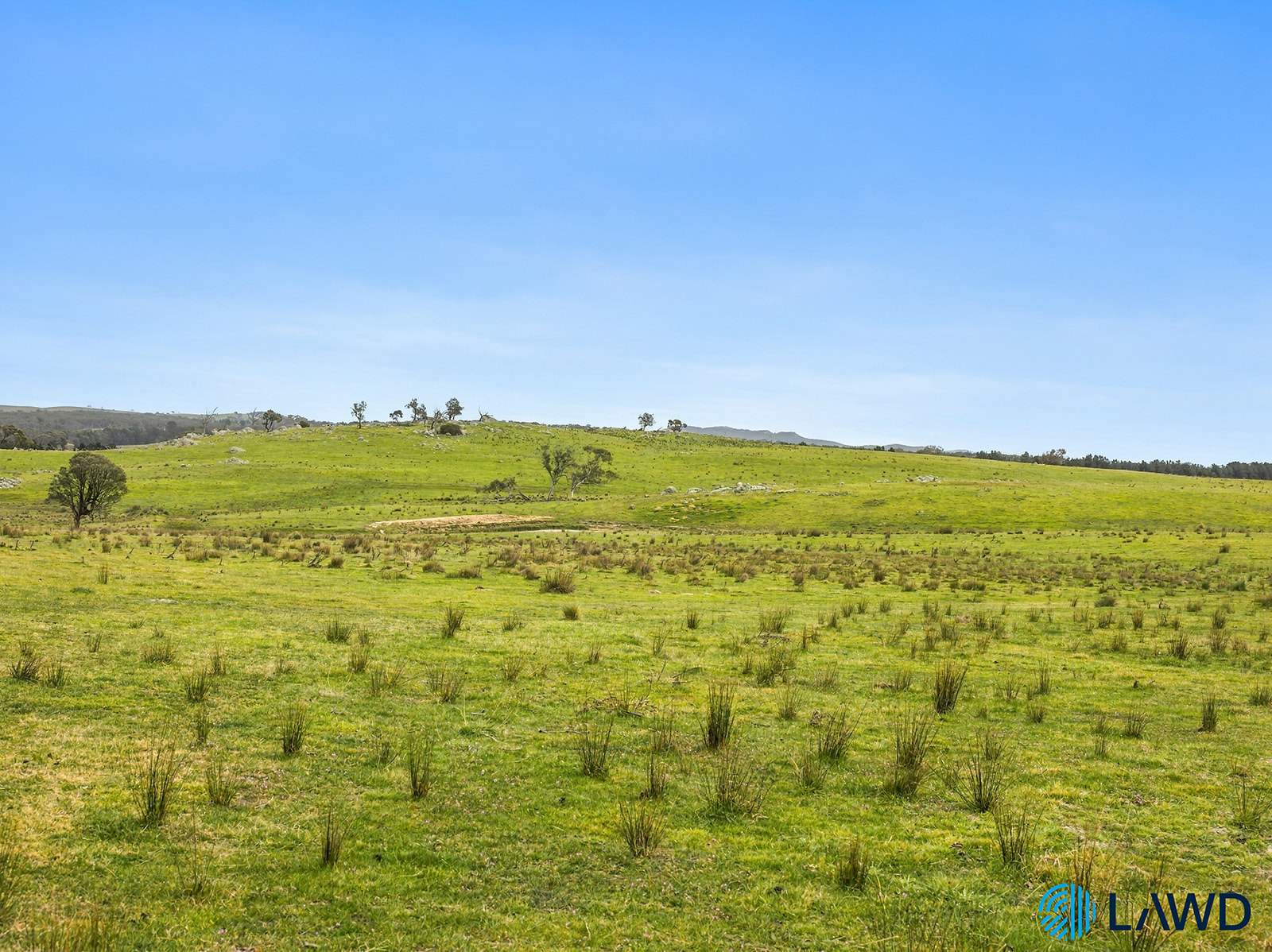 726 Goulburn Road, Boro For Sale by Farmbuy.com - image 30