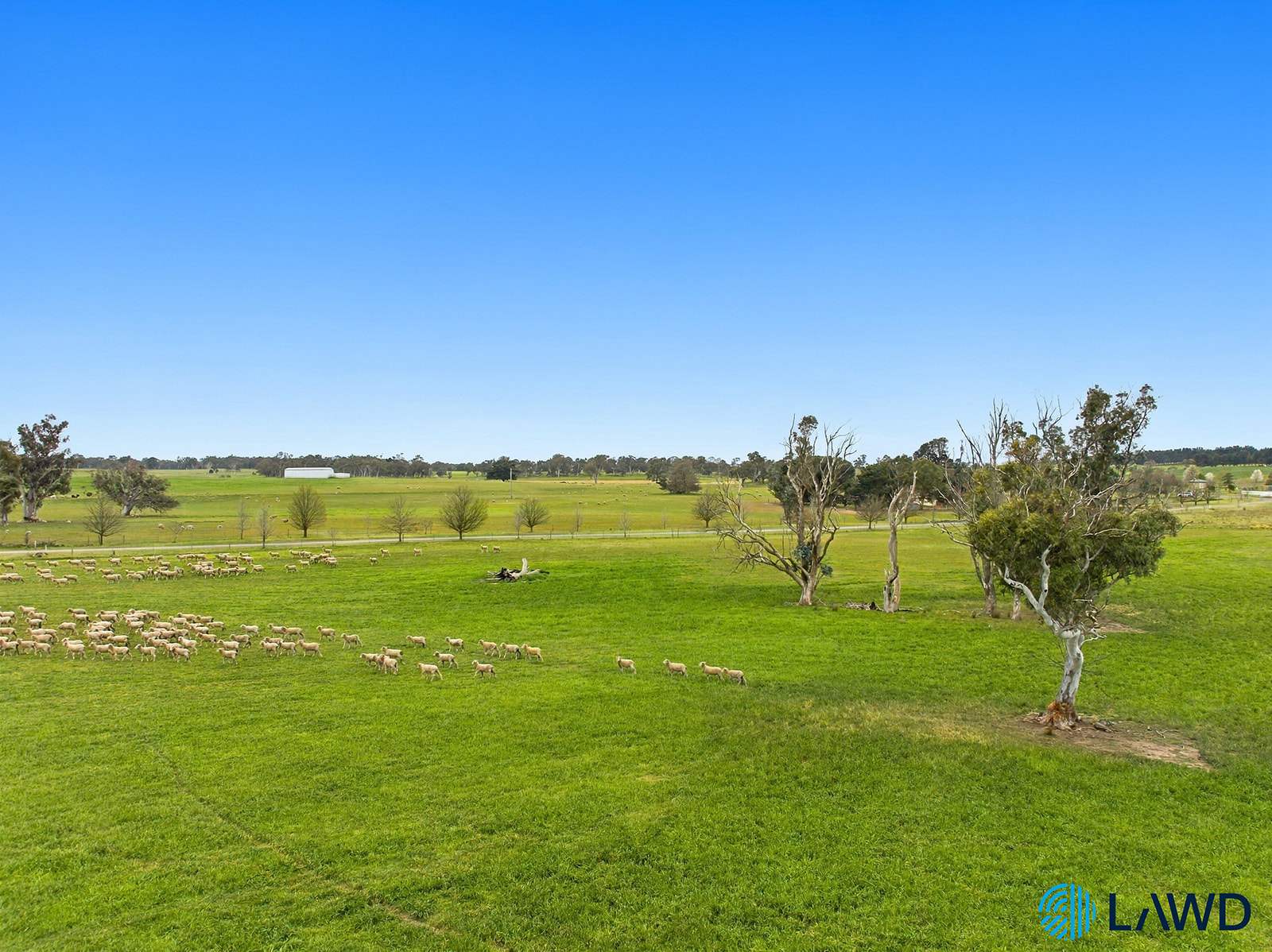 726 Goulburn Road, Boro For Sale by Farmbuy.com - image 3