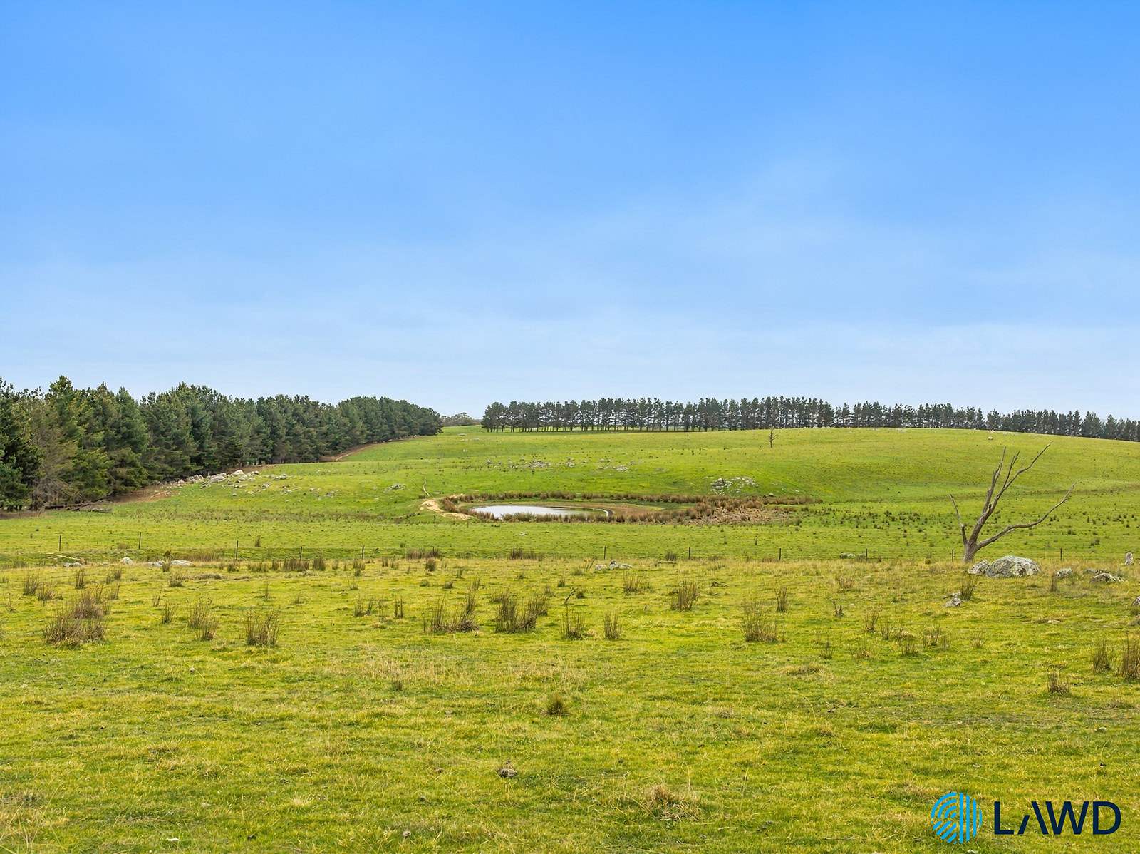 726 Goulburn Road, Boro For Sale by Farmbuy.com - image 31