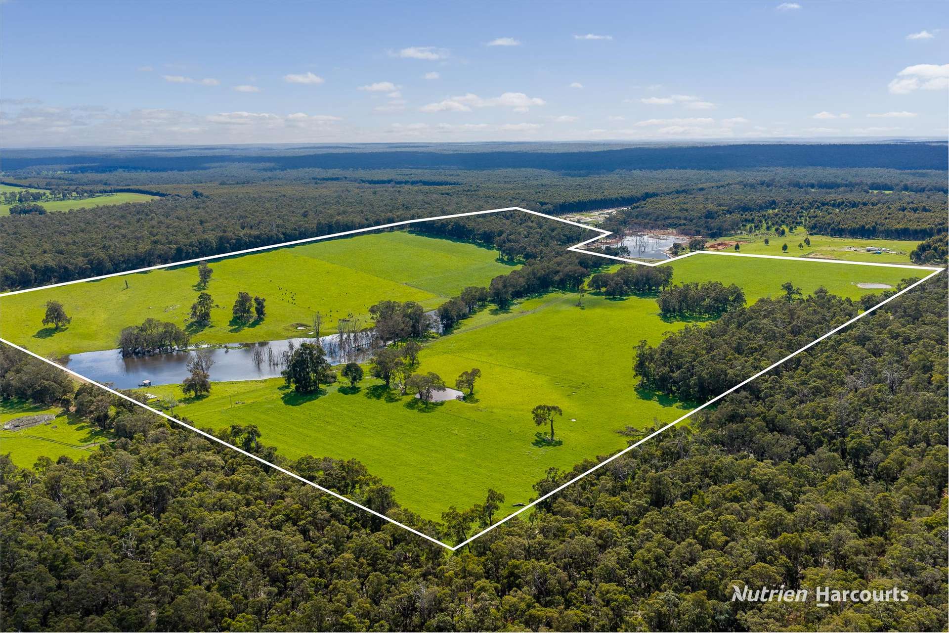 Lot 100 Yarri Road, Manjimup For Sale by Farmbuy.com - image 12