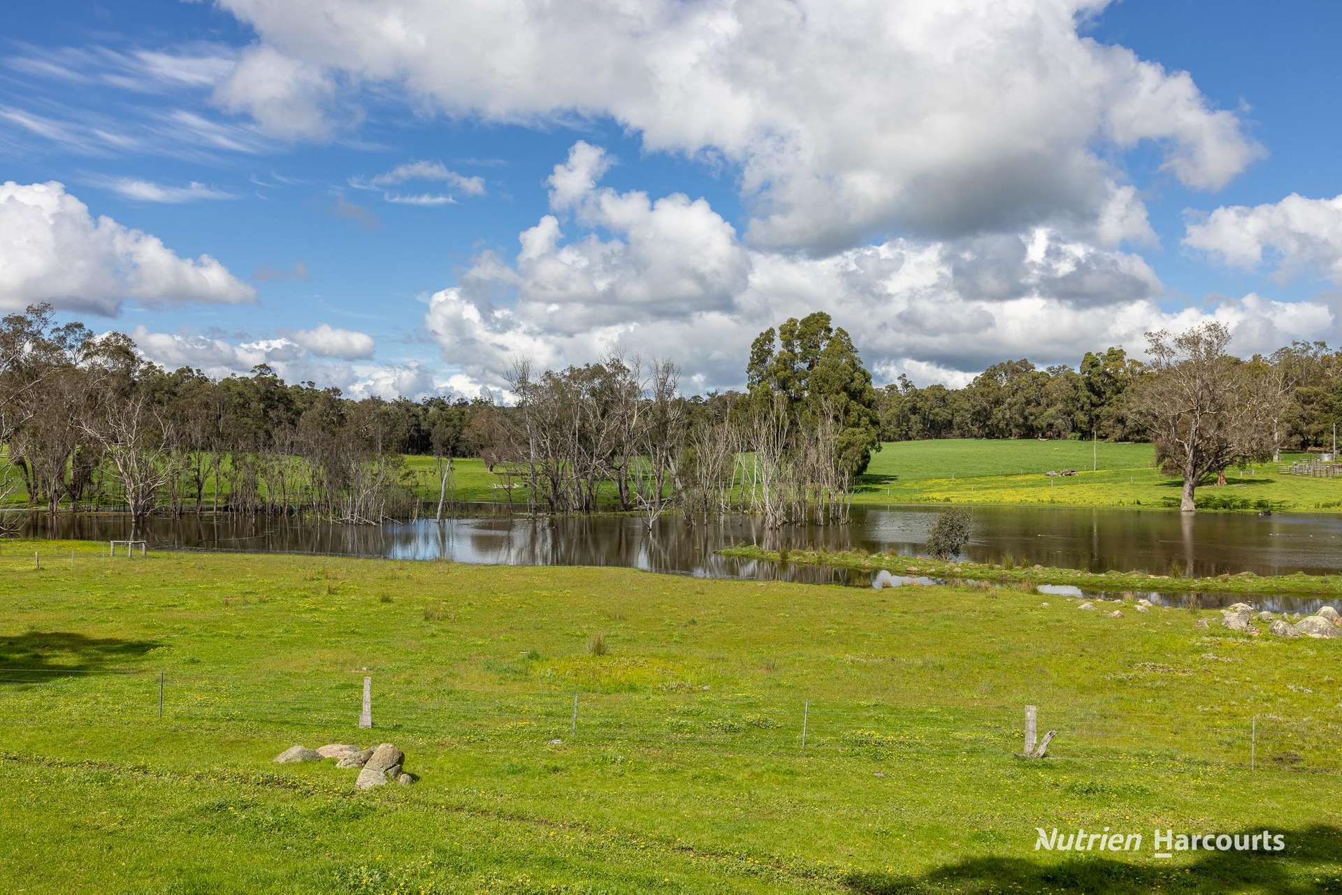 Lot 100 Yarri Road, Manjimup For Sale by Farmbuy.com - image 4