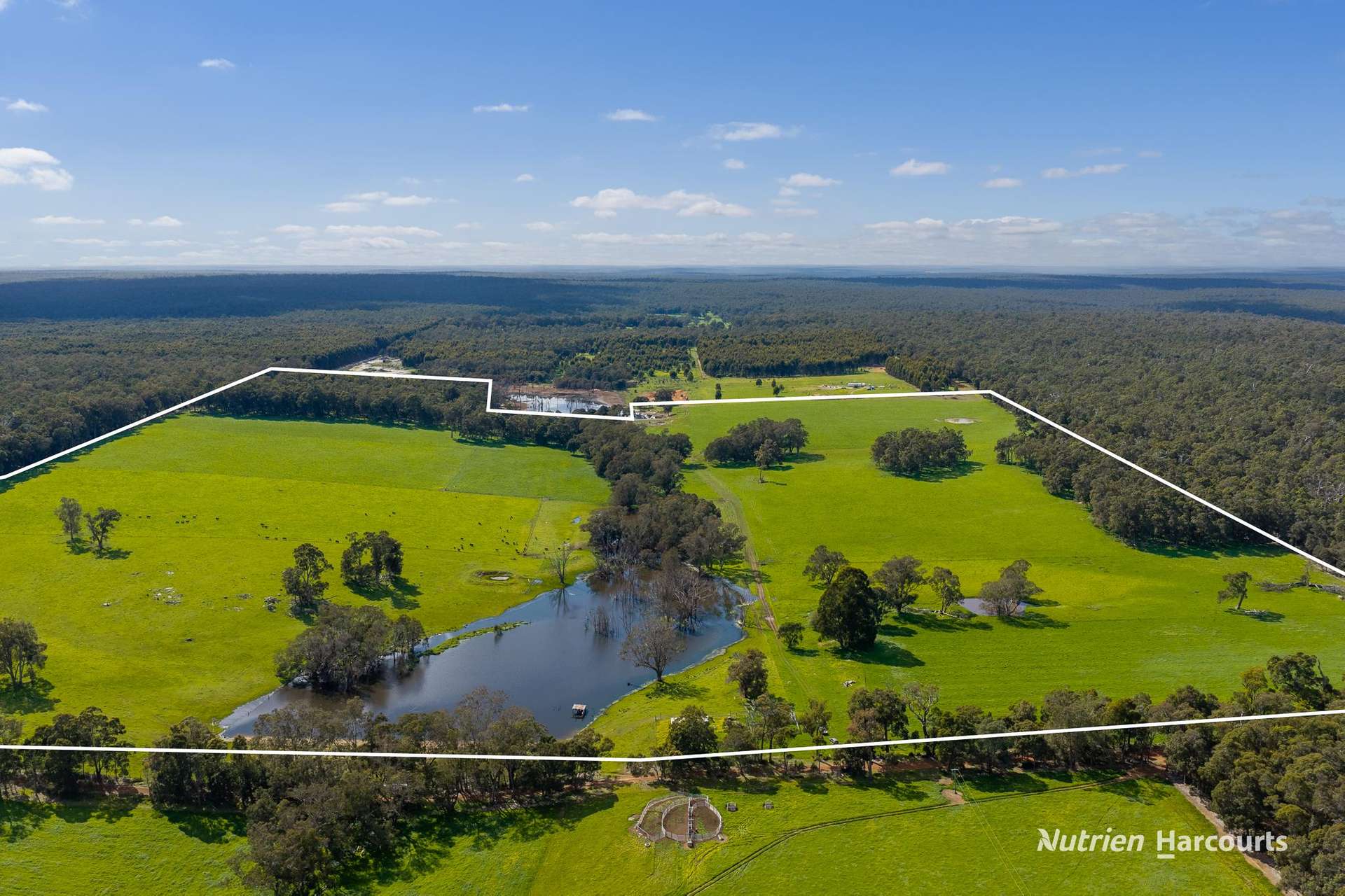 Lot 100 Yarri Road, Manjimup For Sale by Farmbuy.com - image 13