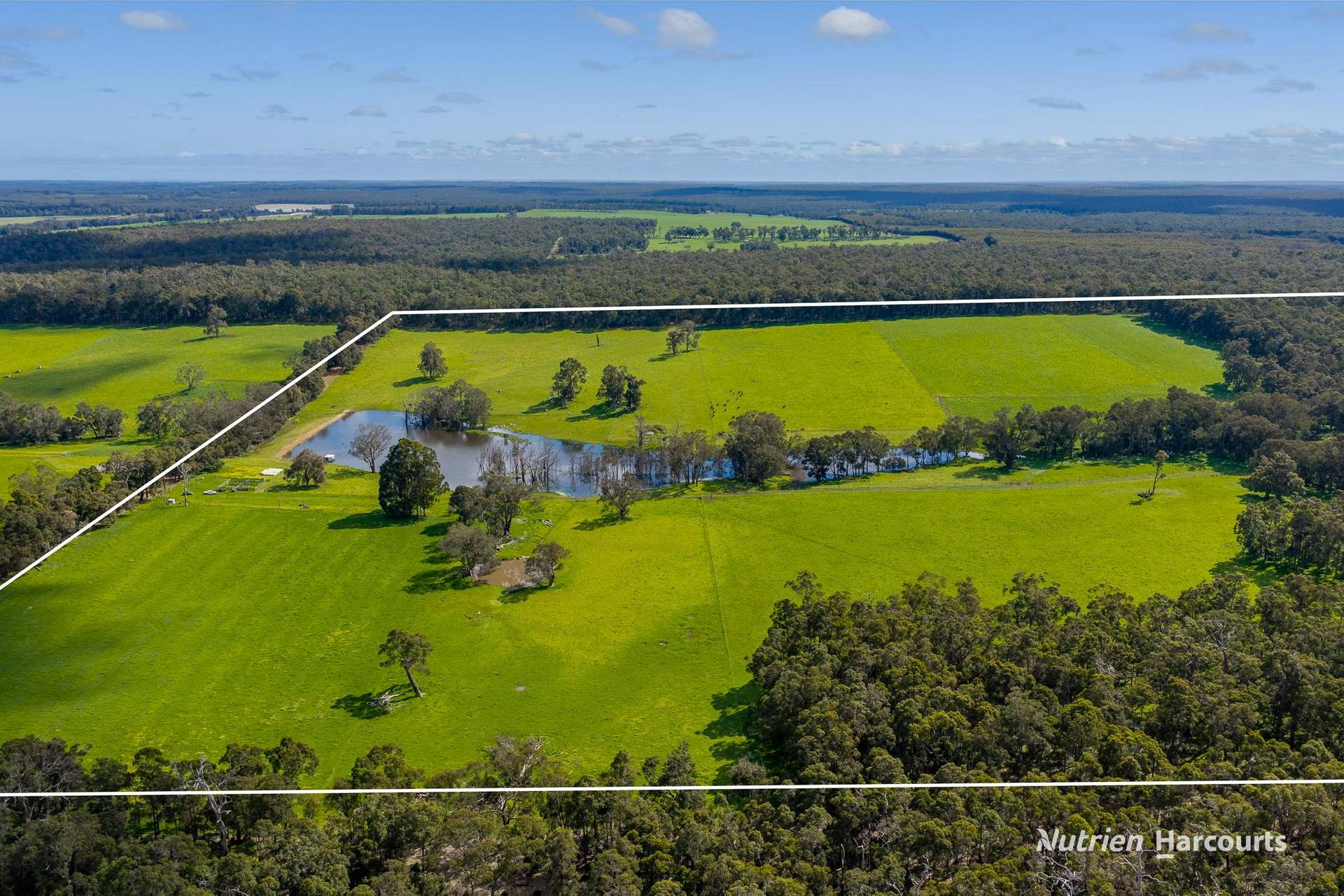 Lot 100 Yarri Road, Manjimup For Sale by Farmbuy.com - image 11